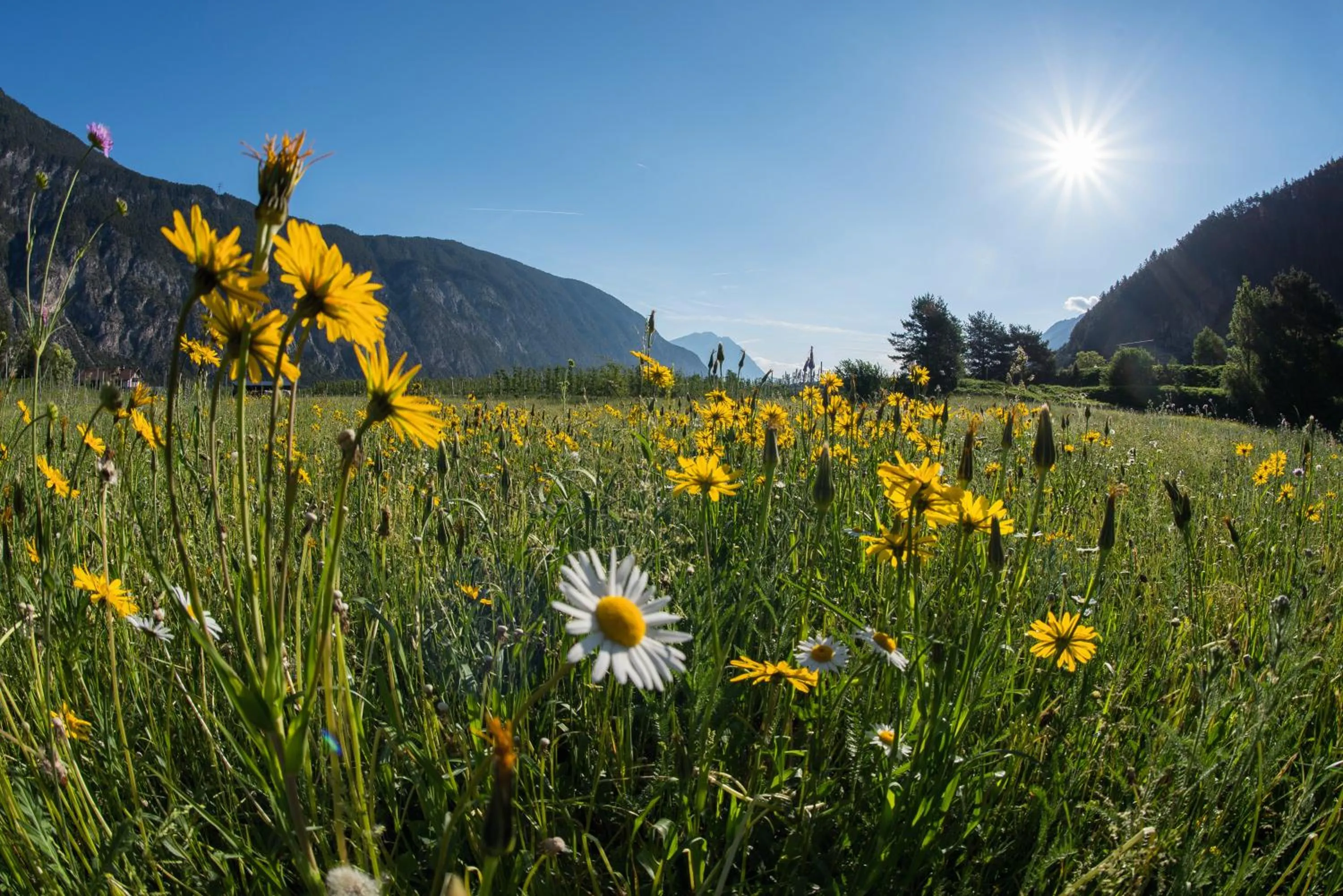 Spring in Easy Living Apartment Ötztal