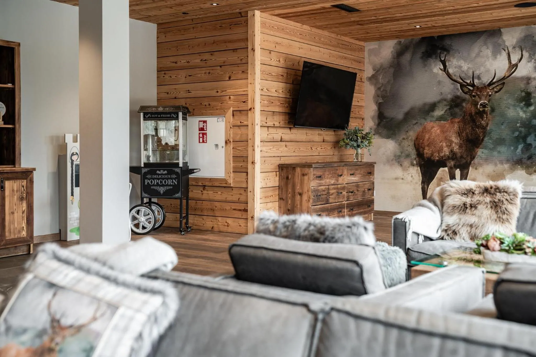 Communal lounge/ TV room in Hotel Litworowy Staw