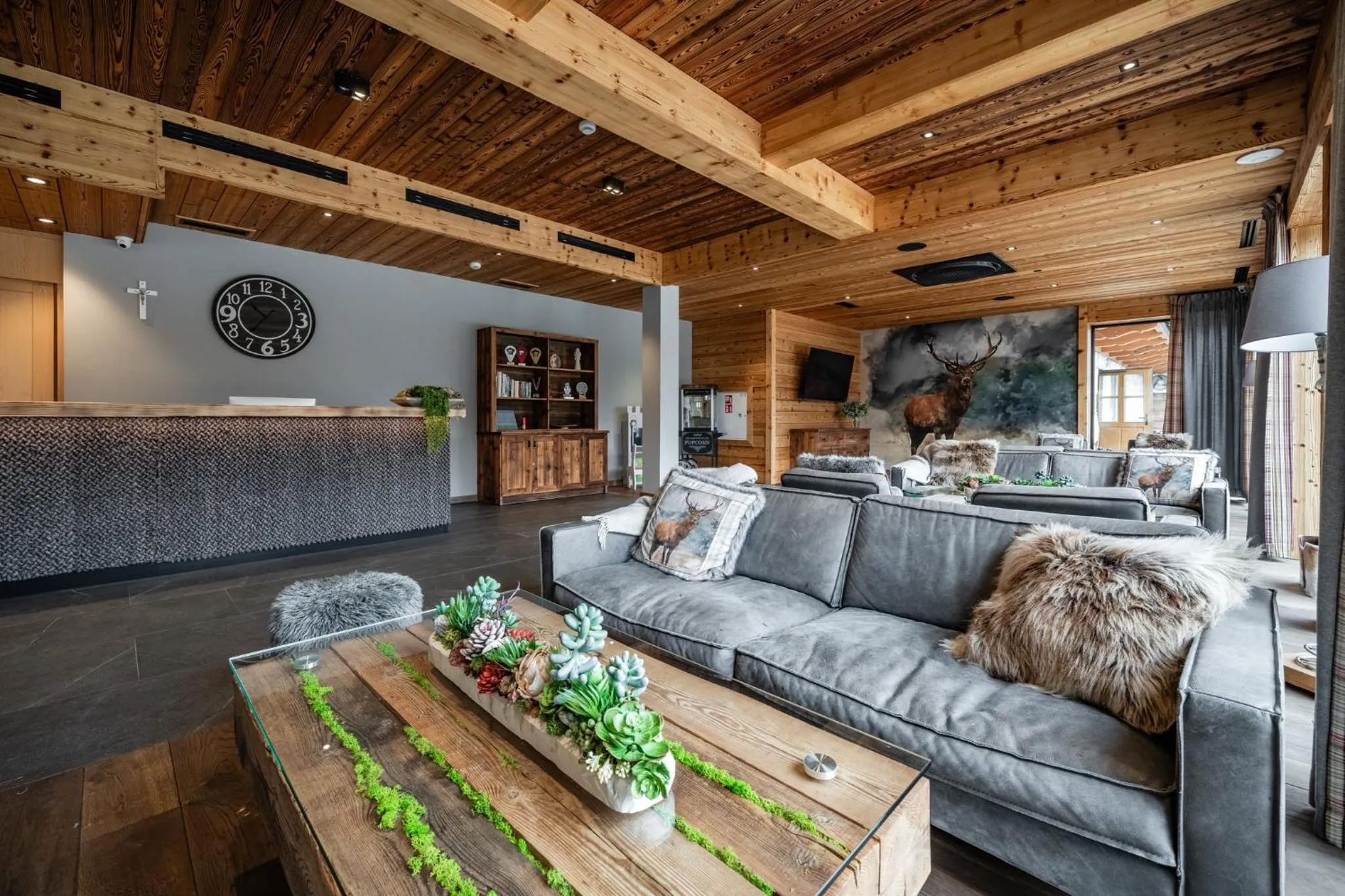 TV and multimedia in Hotel Litworowy Staw