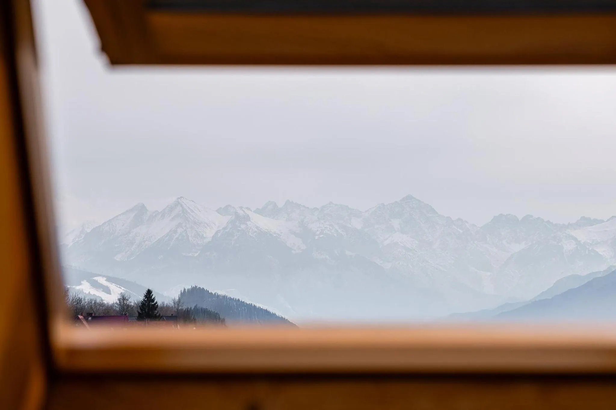 Day in Hotel Litworowy Staw