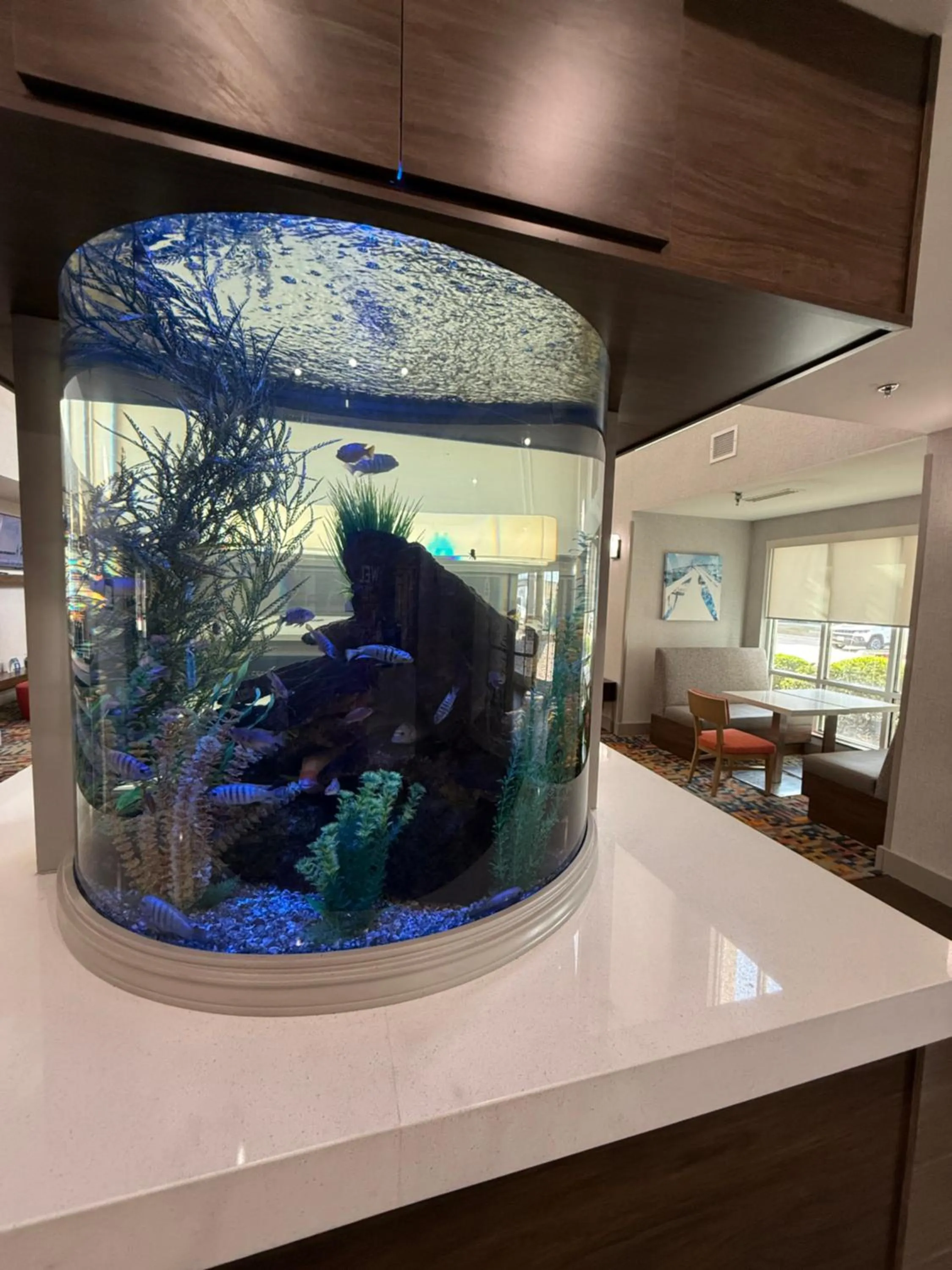 Library in Hampton Inn & Suites Corpus Christi I-37 - Navigation Boulevard