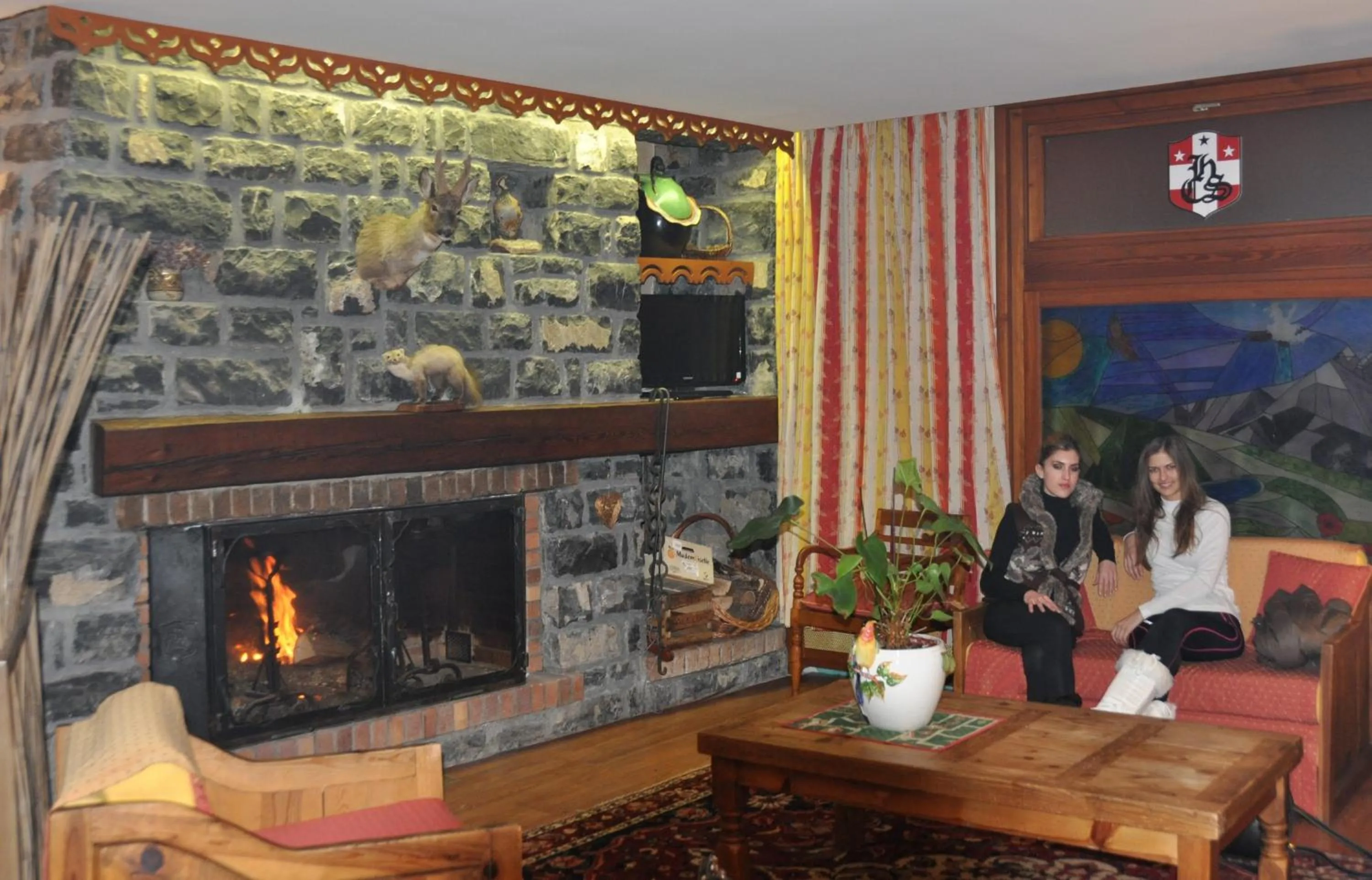 Communal lounge/ TV room in Le Chalet Suisse