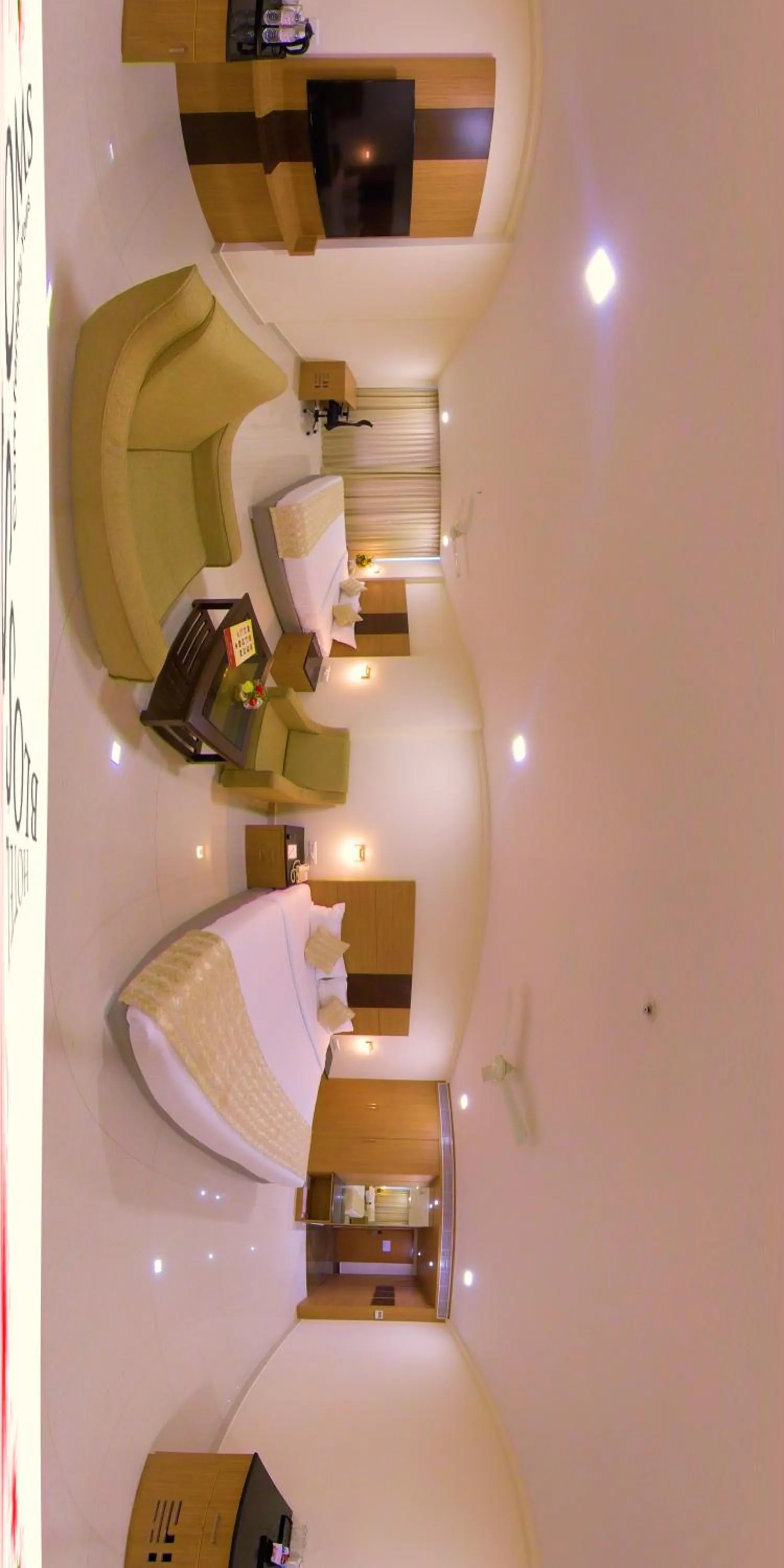 Photo of the whole room in Hotel Blossoms