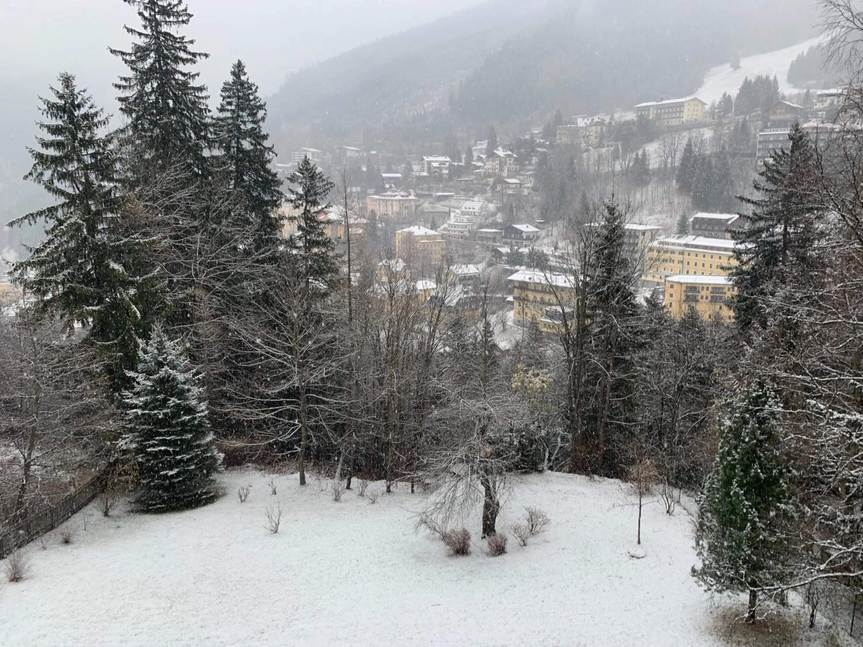 Natural landscape in Residenz Kaiser Franz Josef