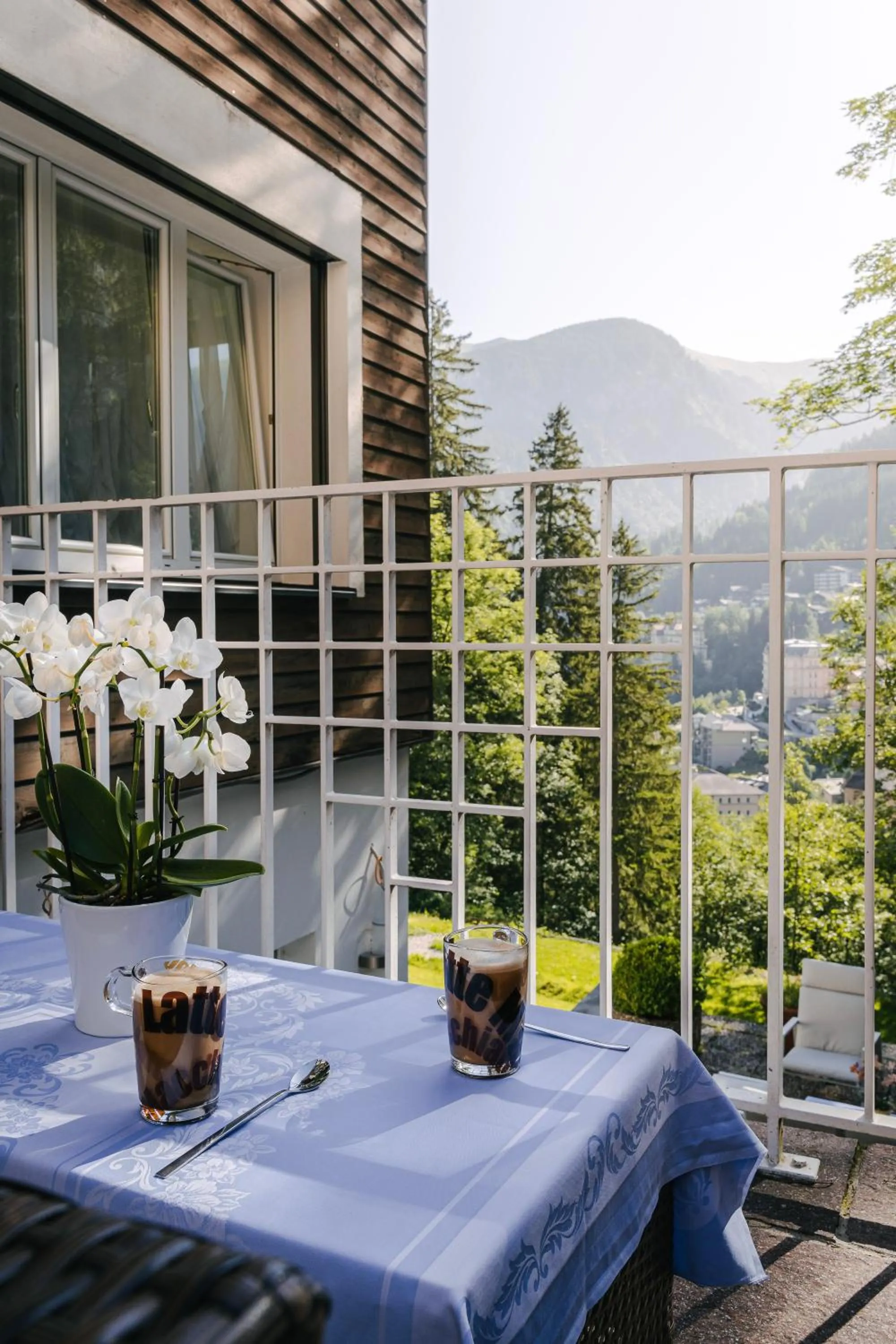 Balcony/Terrace in Residenz Kaiser Franz Josef
