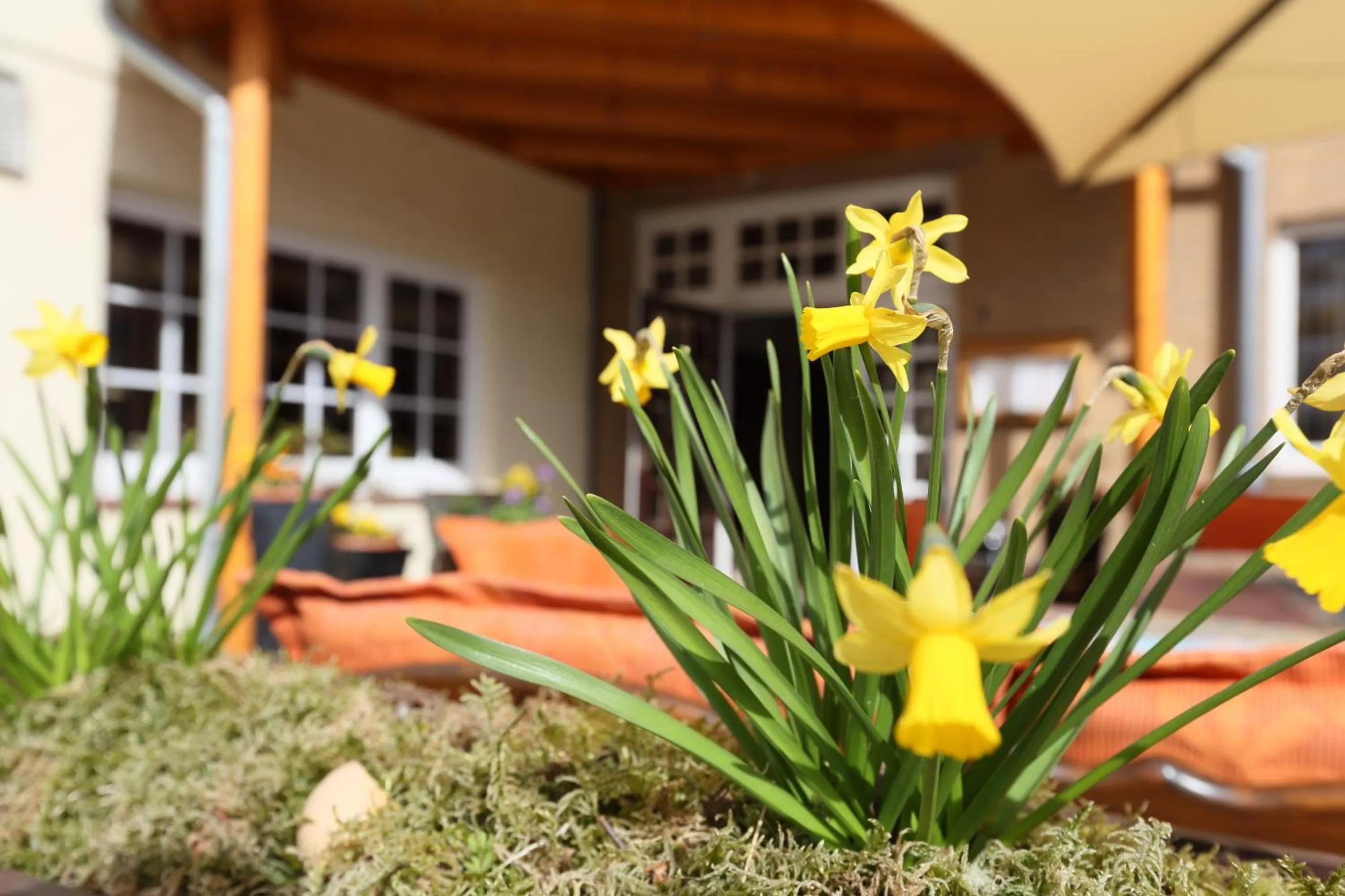 Balcony/Terrace in Jeddinger Hof Land- und Seminarhotel
