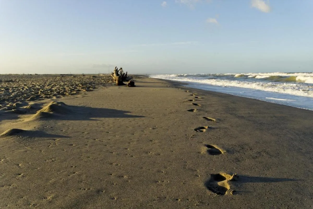 Area and facilities in Hotel Sauro