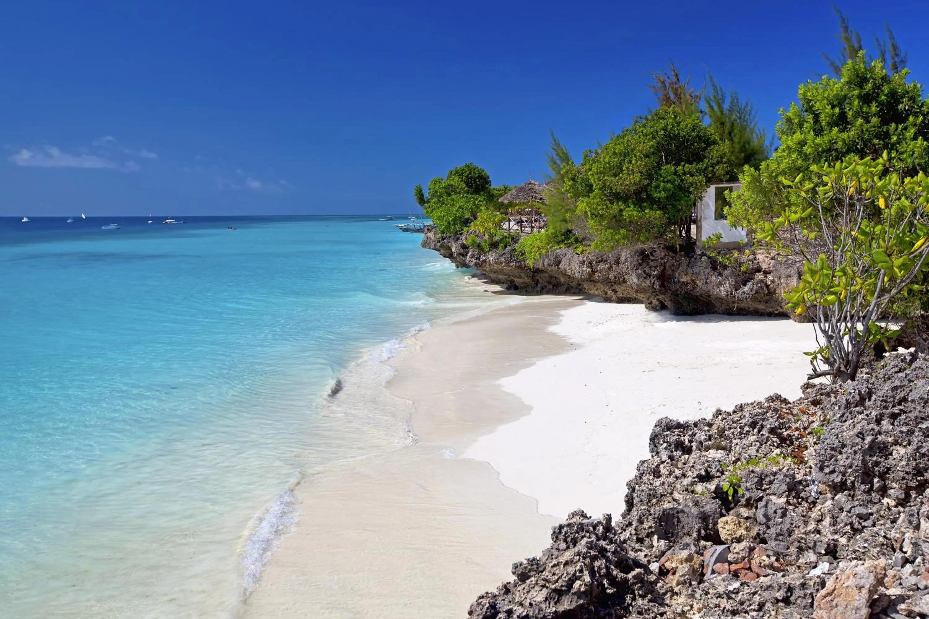 Beach in The Zanzibari