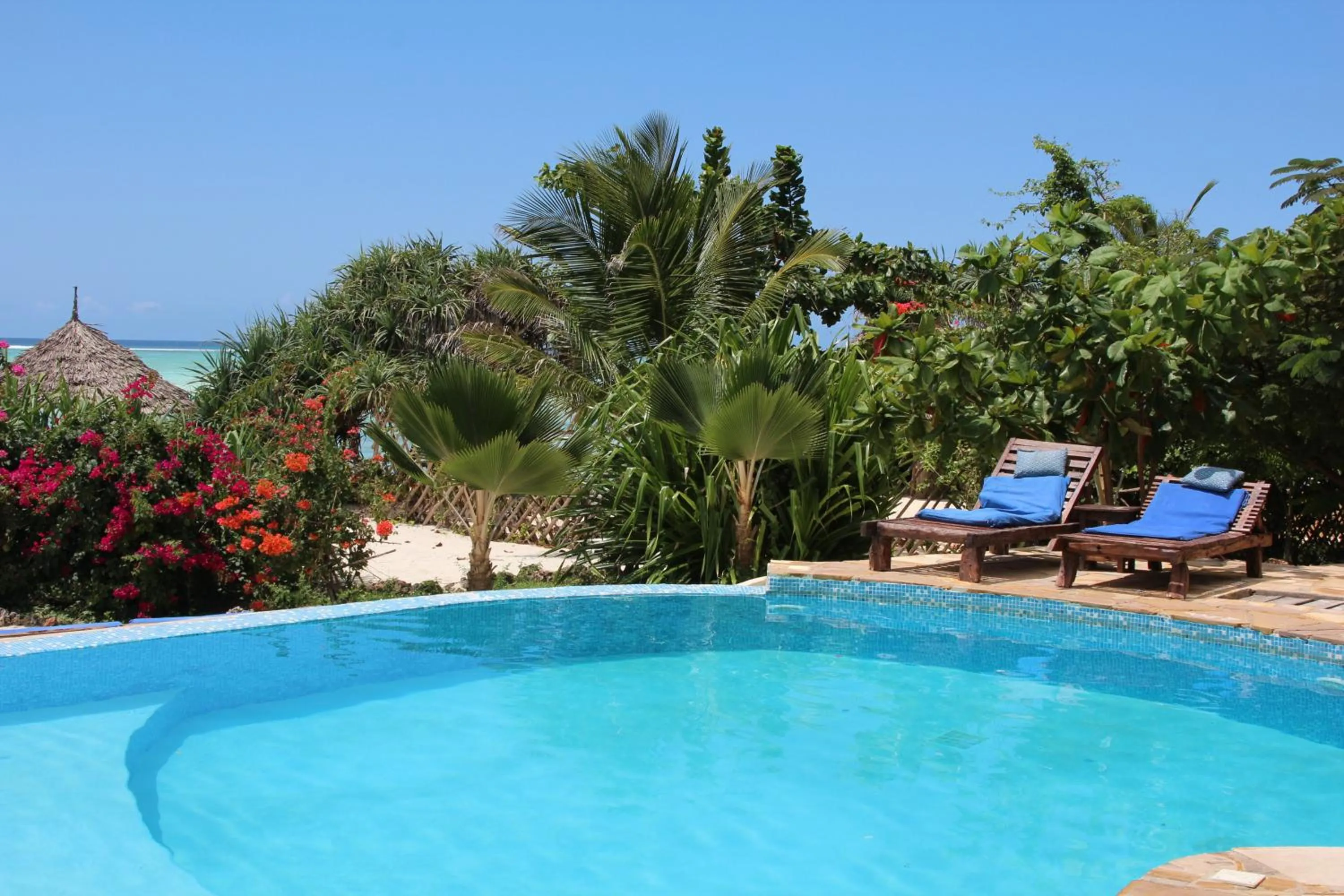 Swimming pool in The Zanzibari