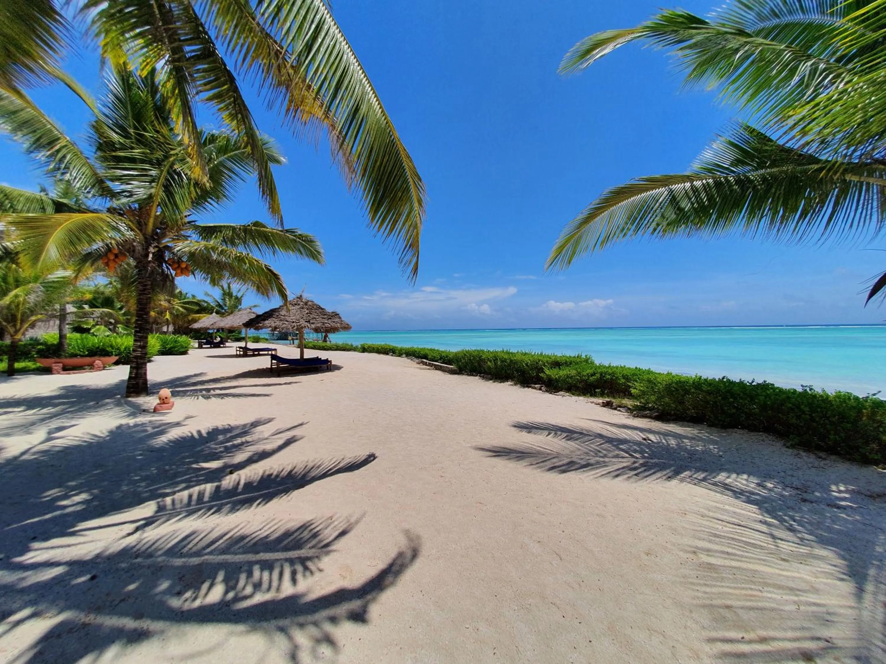 Beach in The Zanzibari