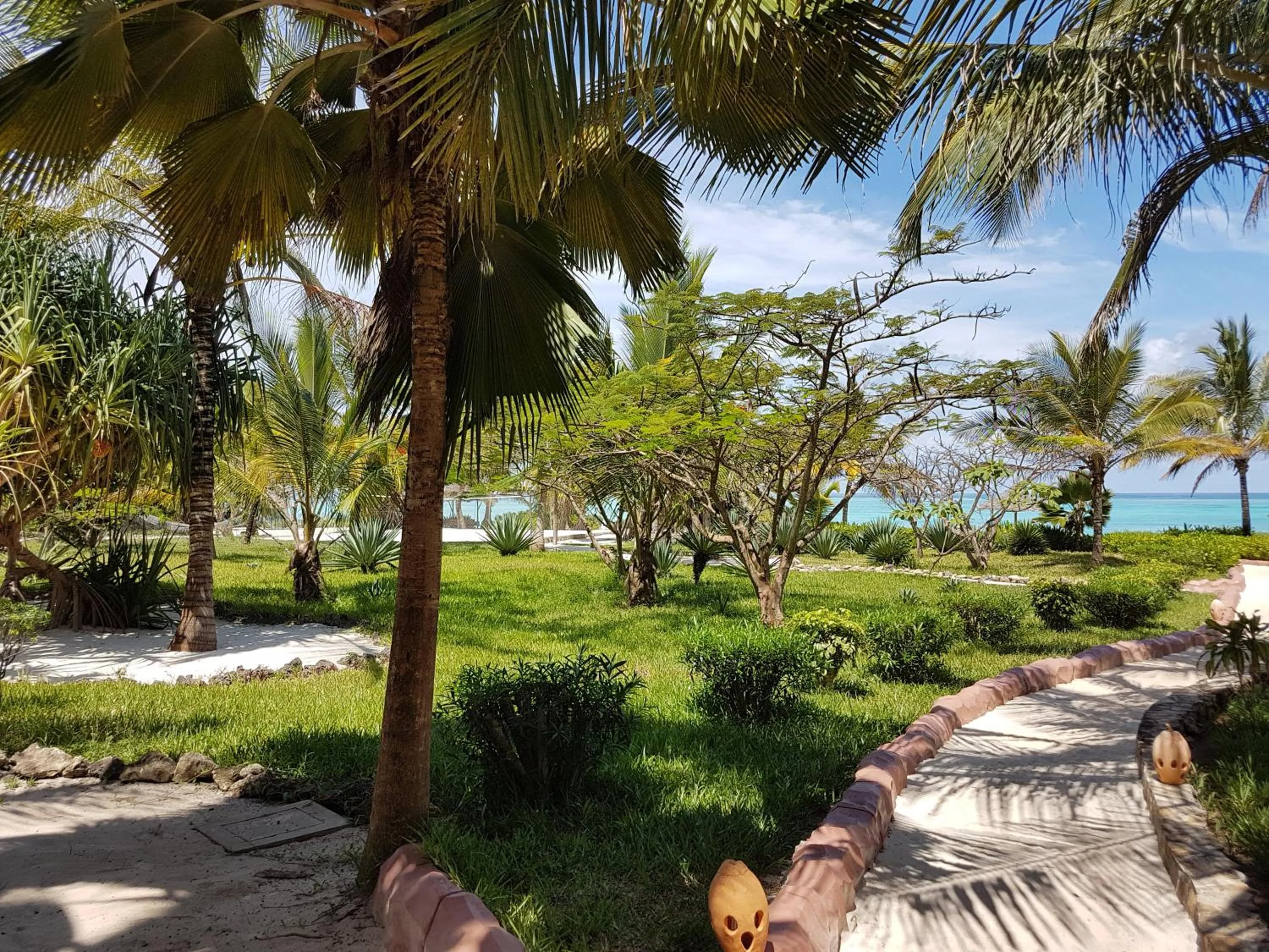 Garden in The Zanzibari