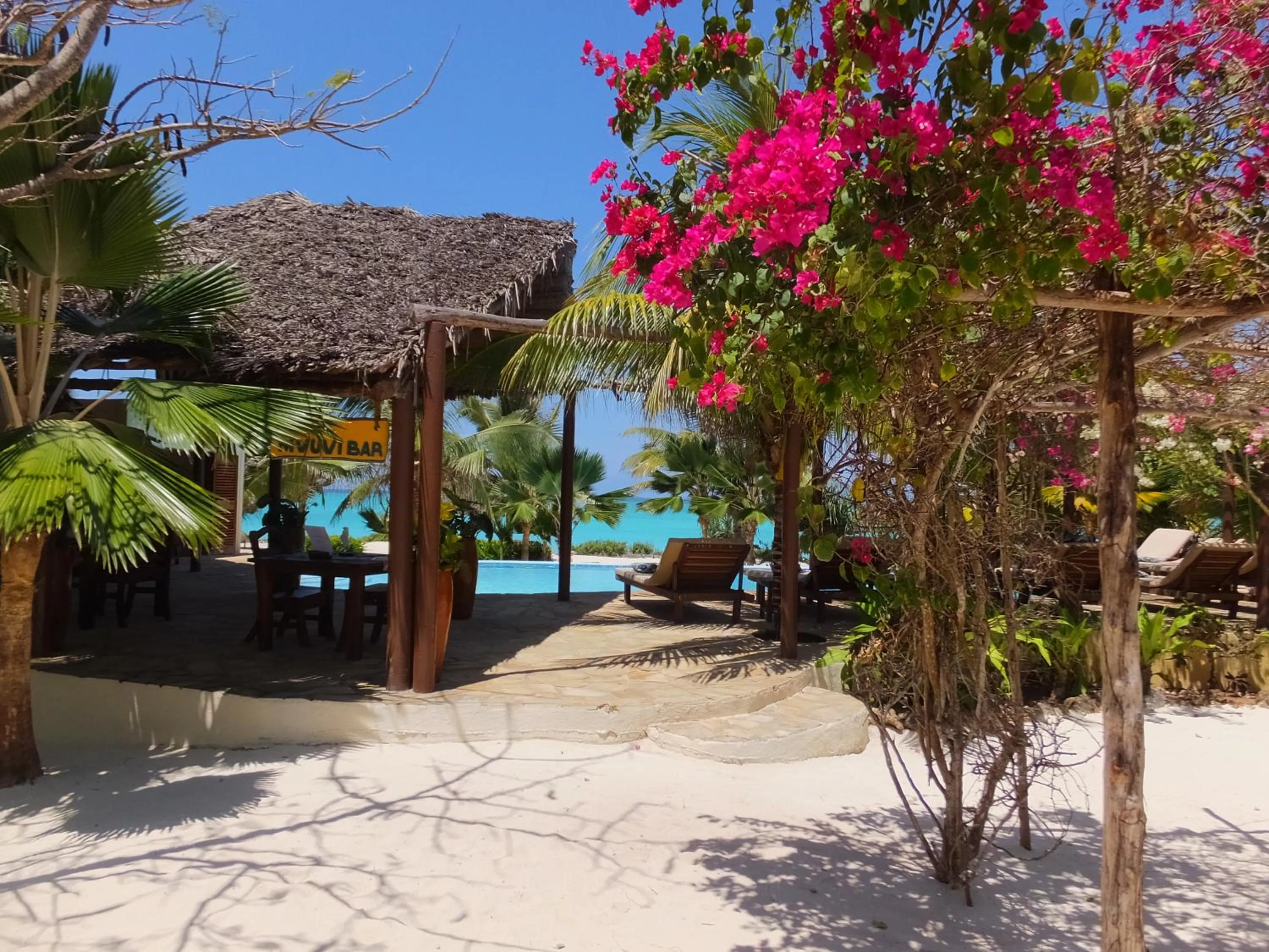 Pool view in The Zanzibari