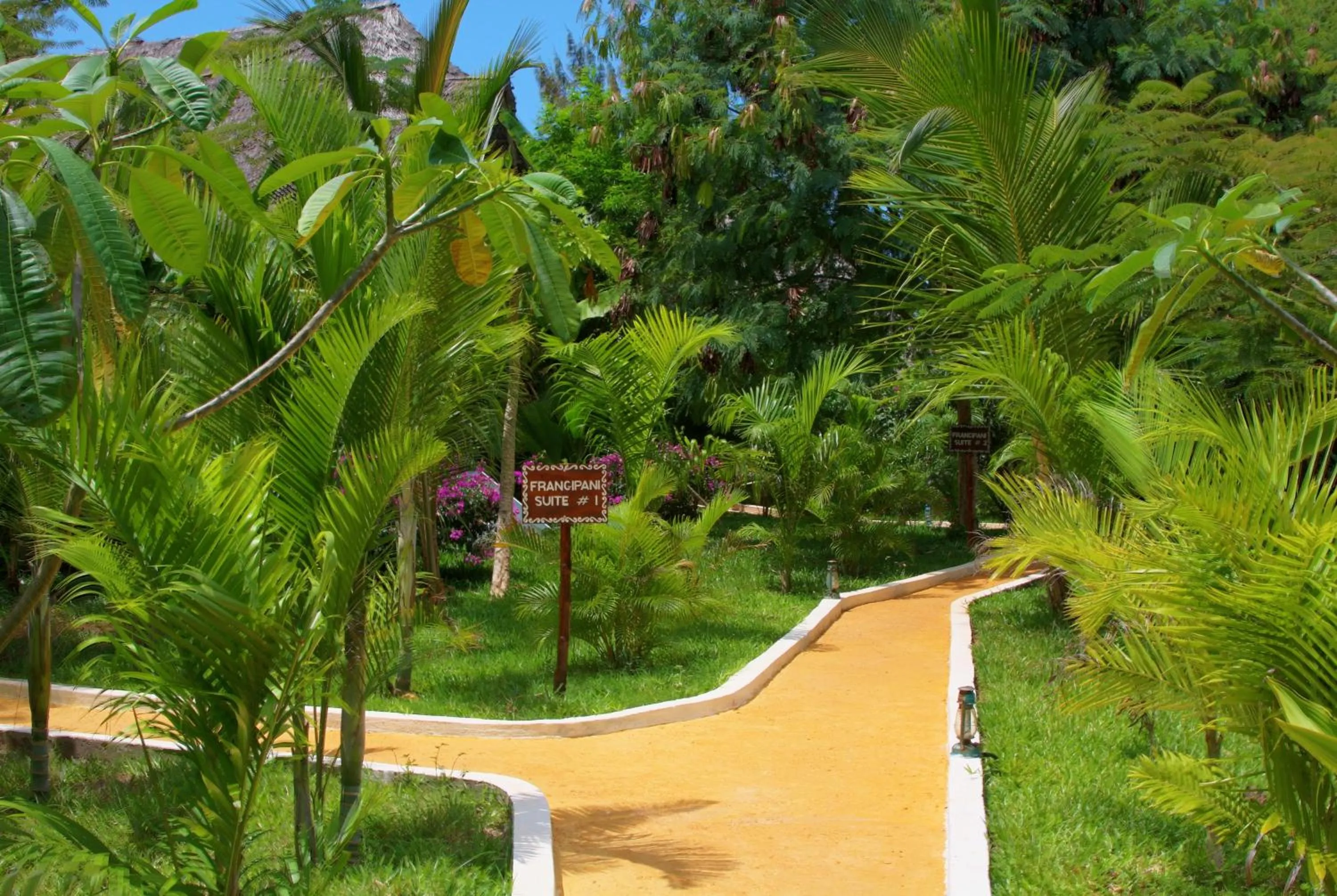 Garden in The Zanzibari