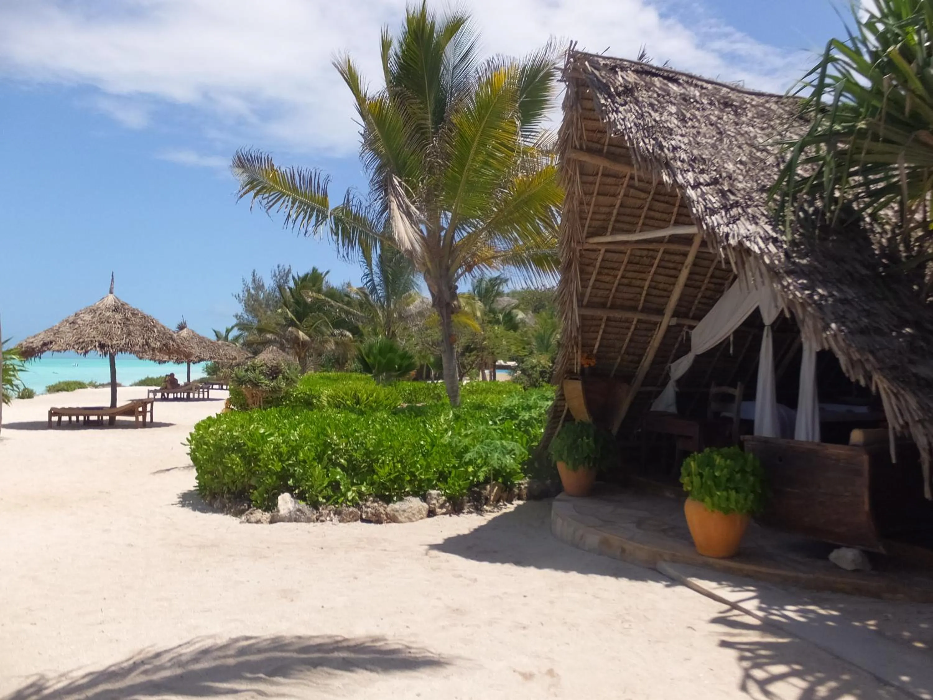 Day in The Zanzibari