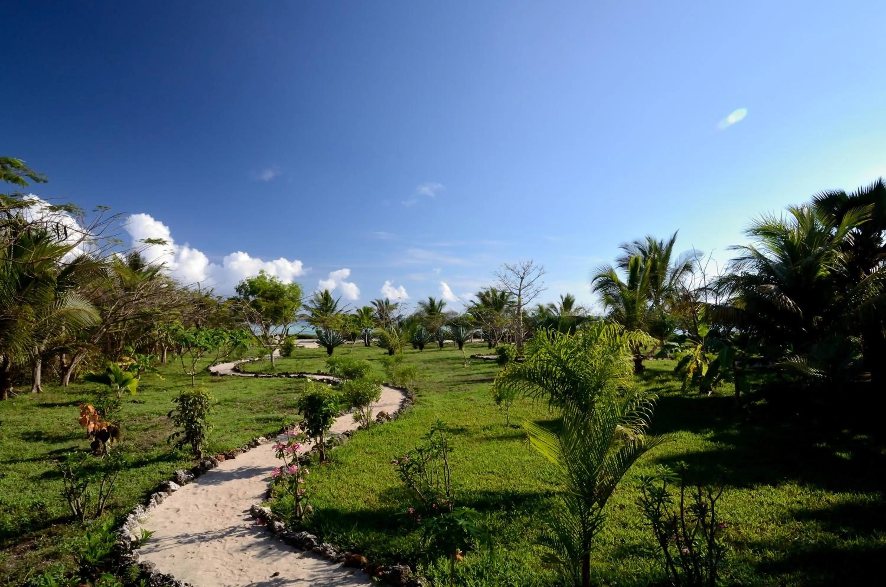 Garden in The Zanzibari