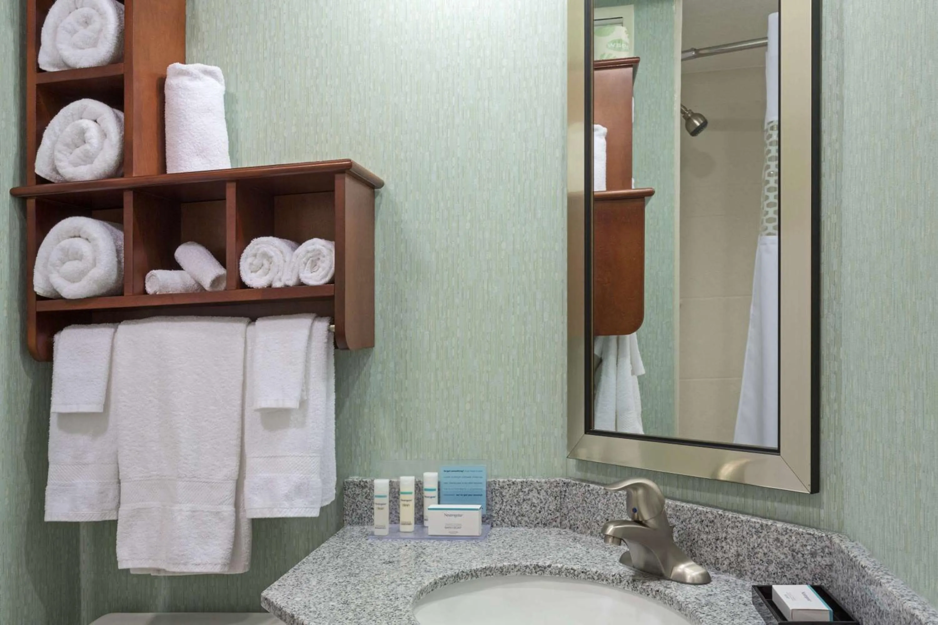 Bathroom in Hampton Inn Daytona Speedway-Airport