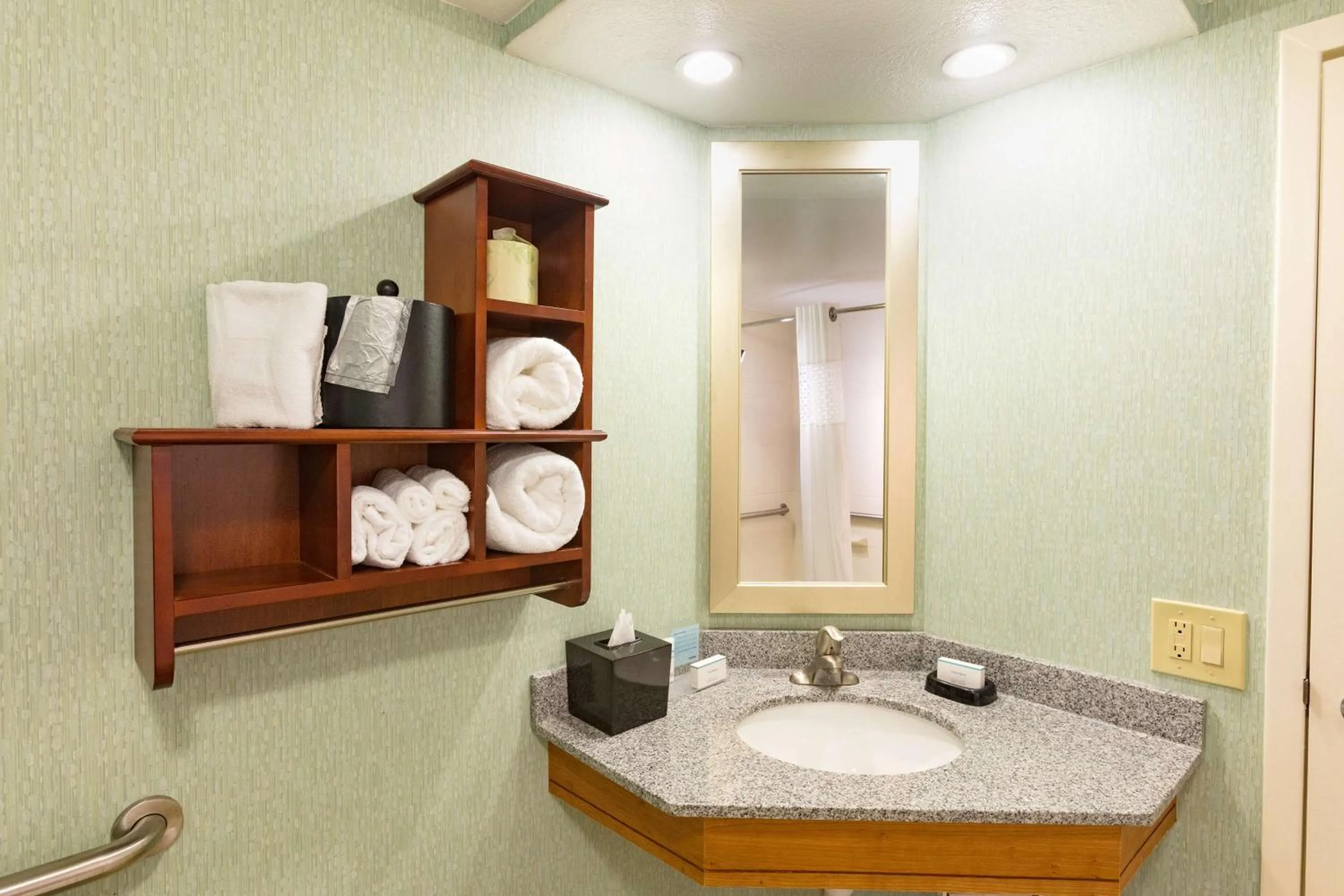 Bathroom in Hampton Inn Daytona Speedway-Airport