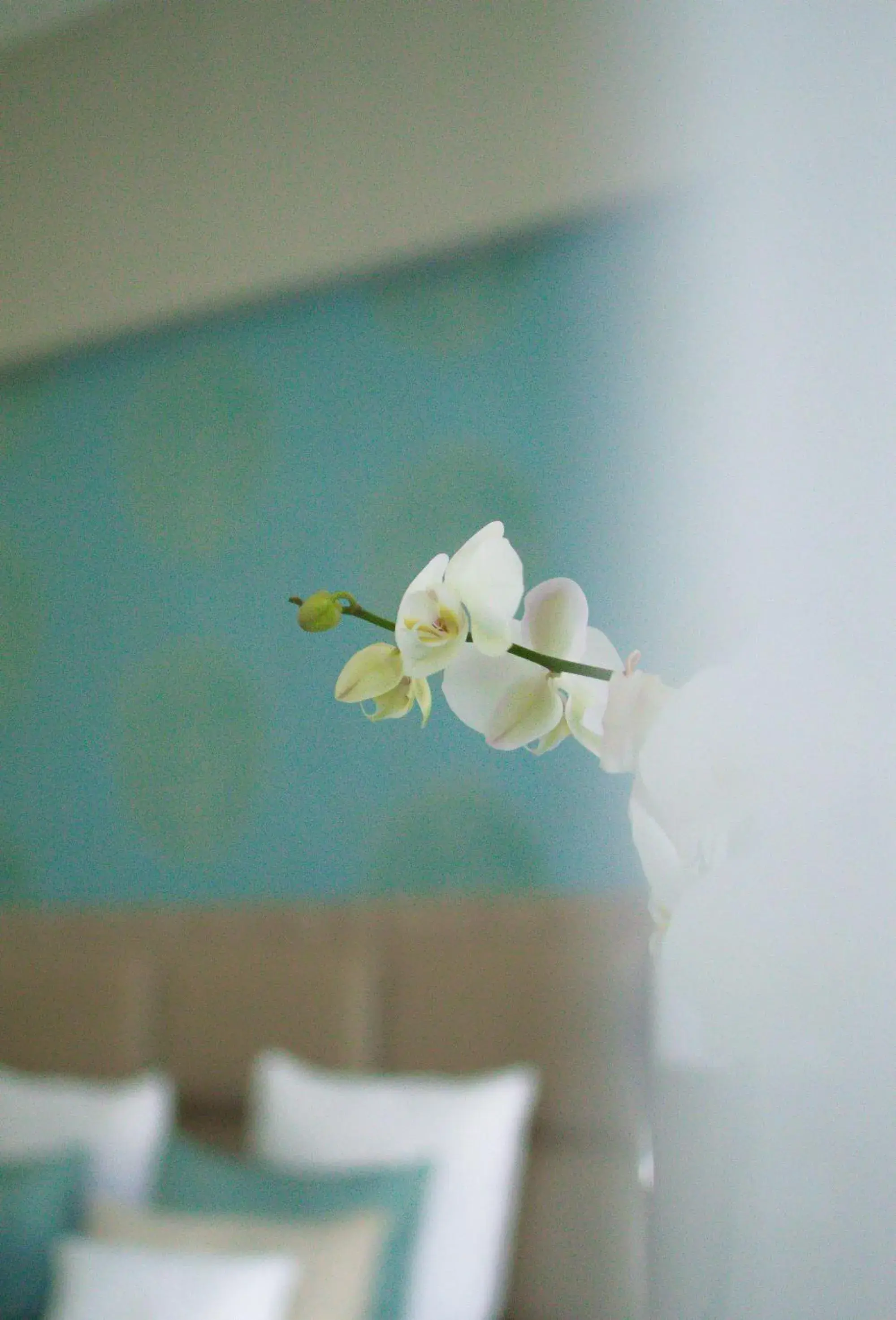 Deluxe Apartment with City View in Harmonia Palace - Luxury Apartments Deluxe Apartment with City View in Harmonia Palace - Luxury Apartments