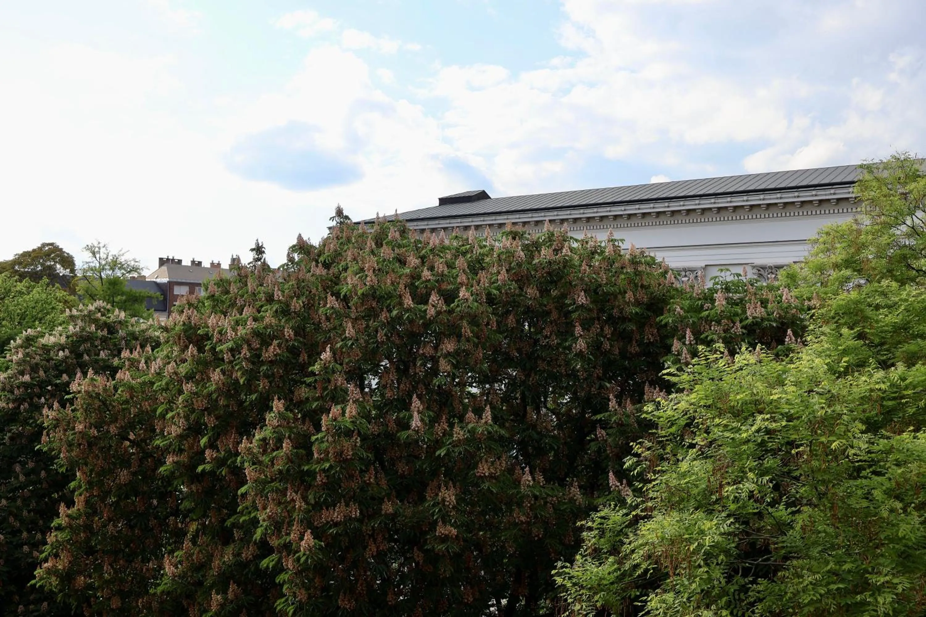 View (from property/room) in Harmonia Palace - Luxury Apartments