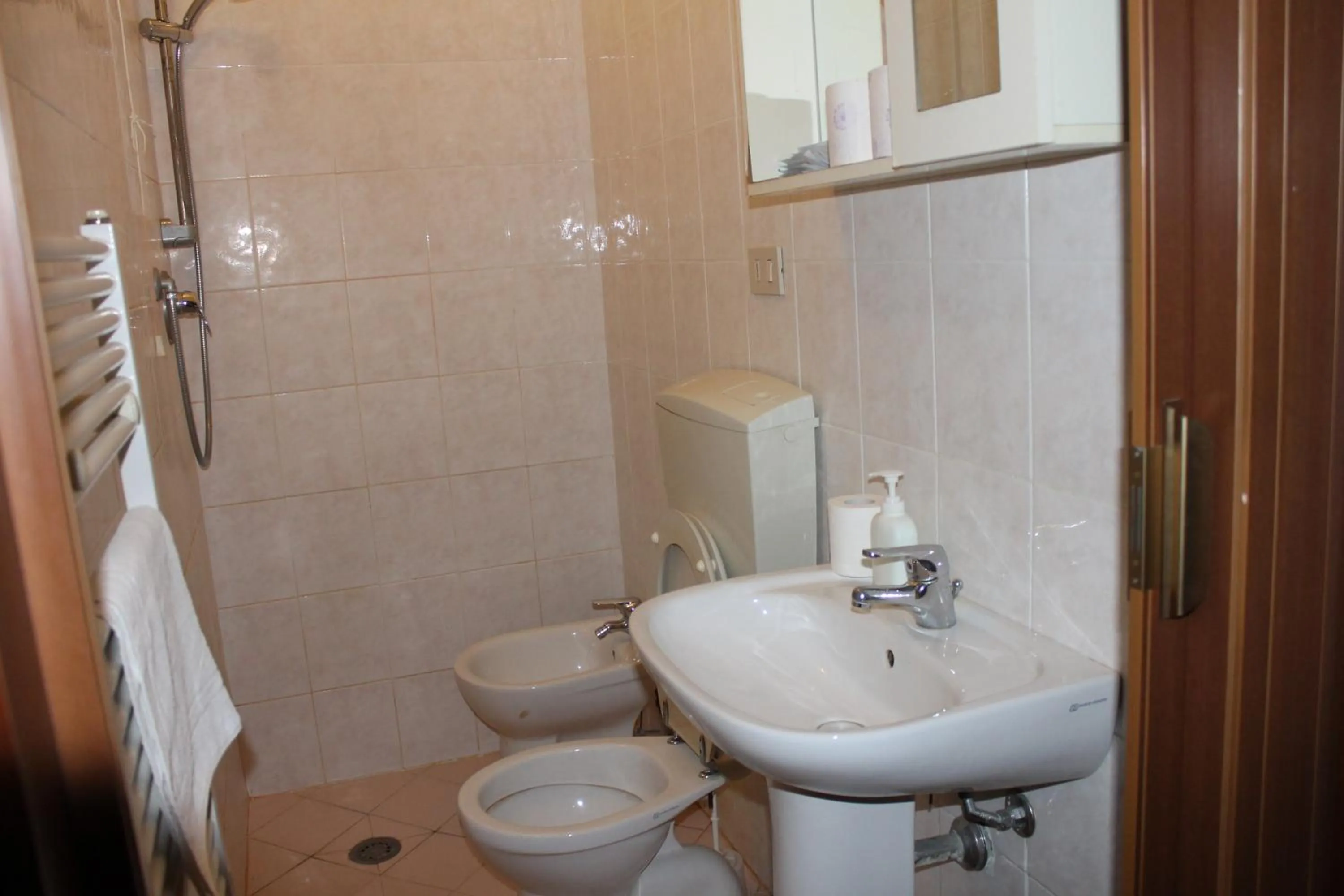 Bathroom in Hotel Terranova