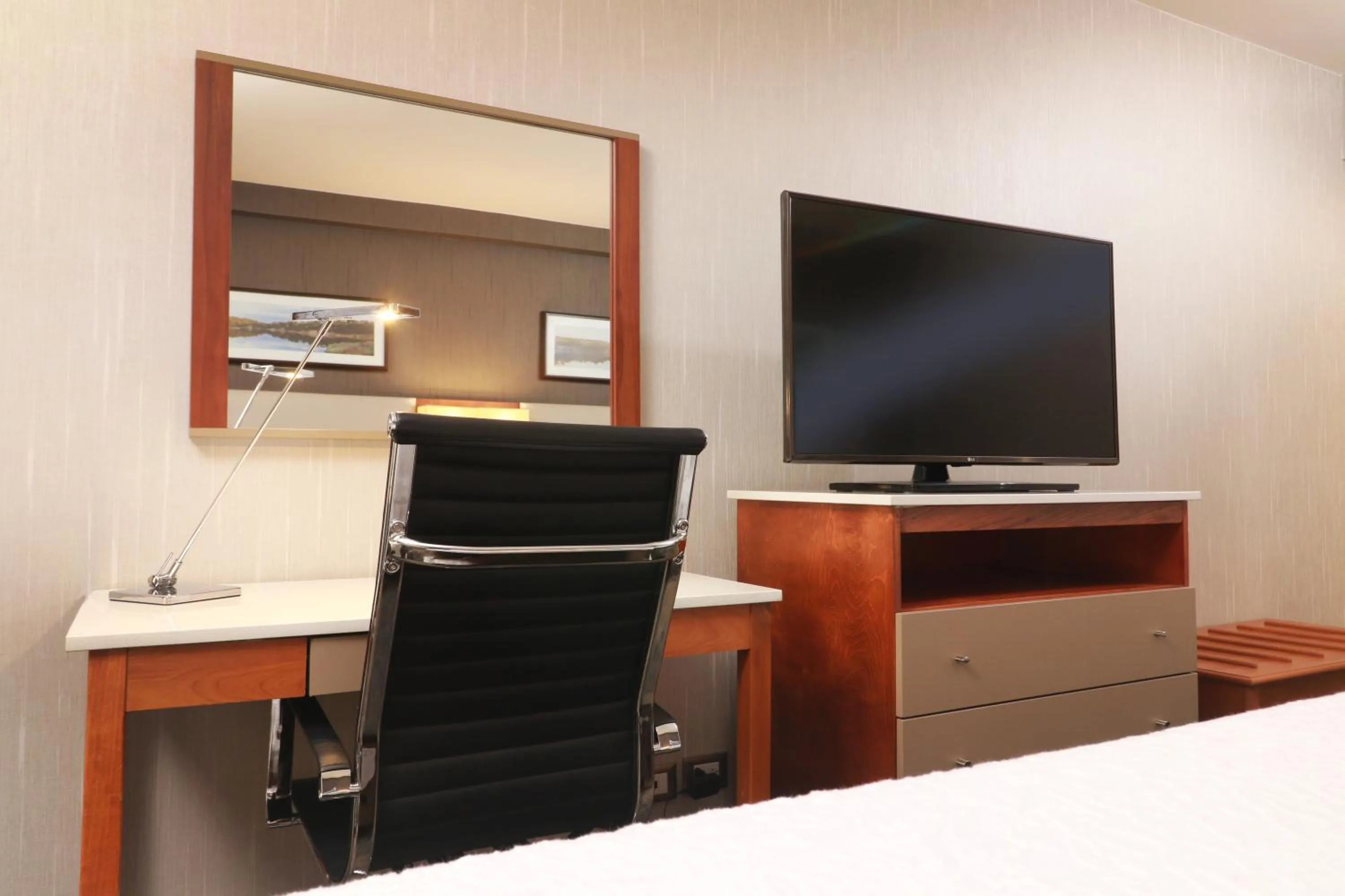 TV and multimedia in Hampton by Hilton Chihuahua