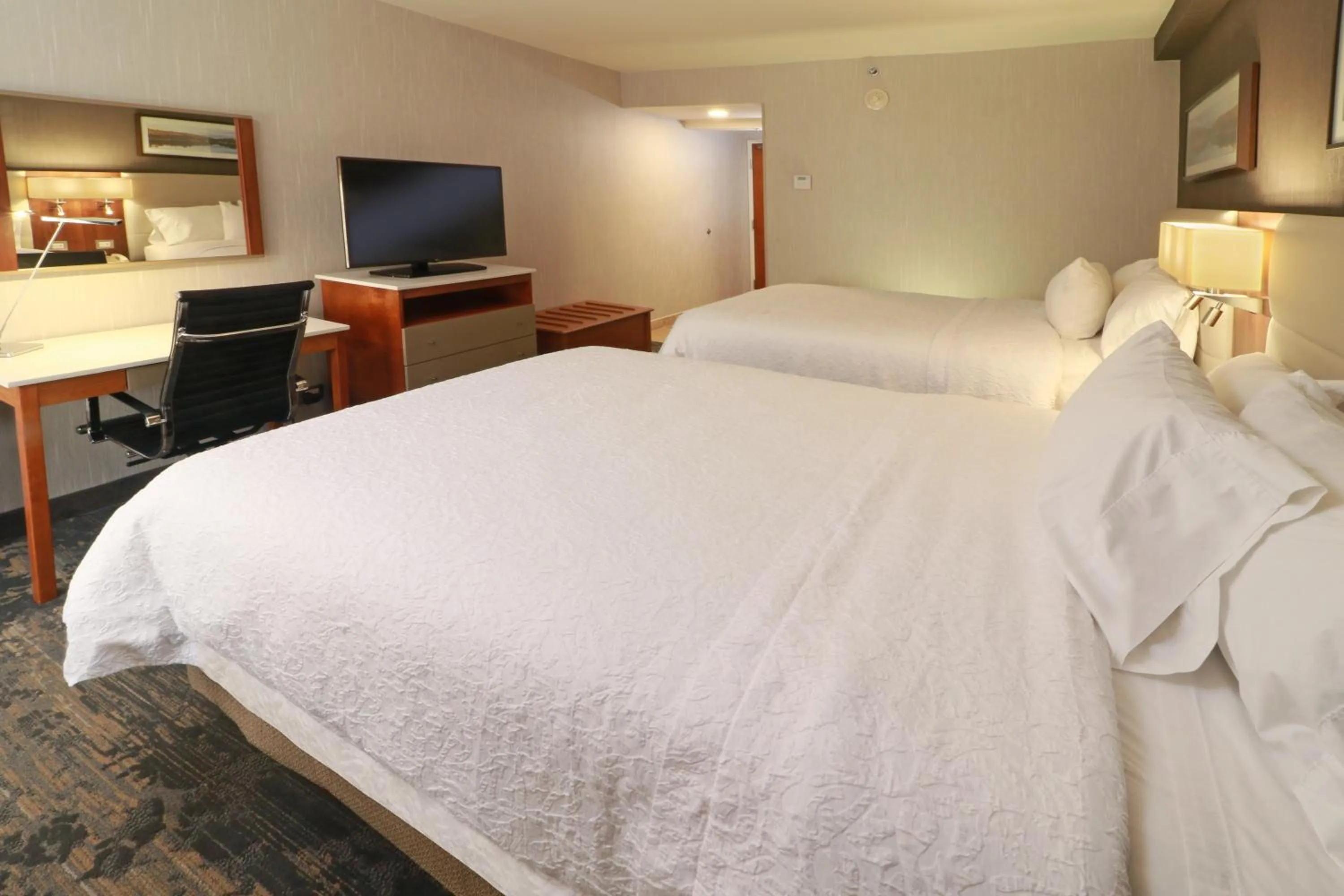 Bed in Hampton by Hilton Chihuahua