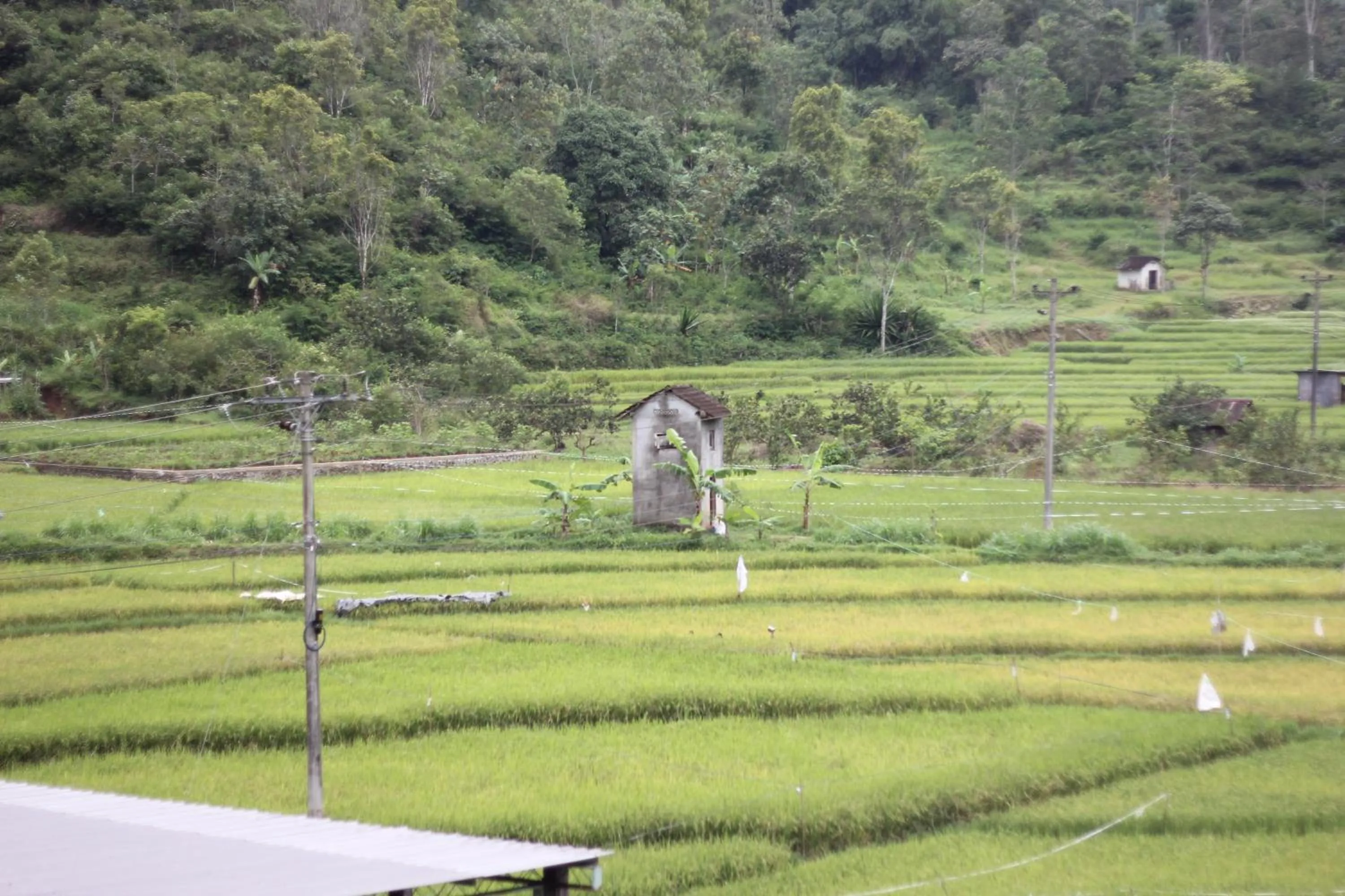 Jawa Dwipa Heritage Resort