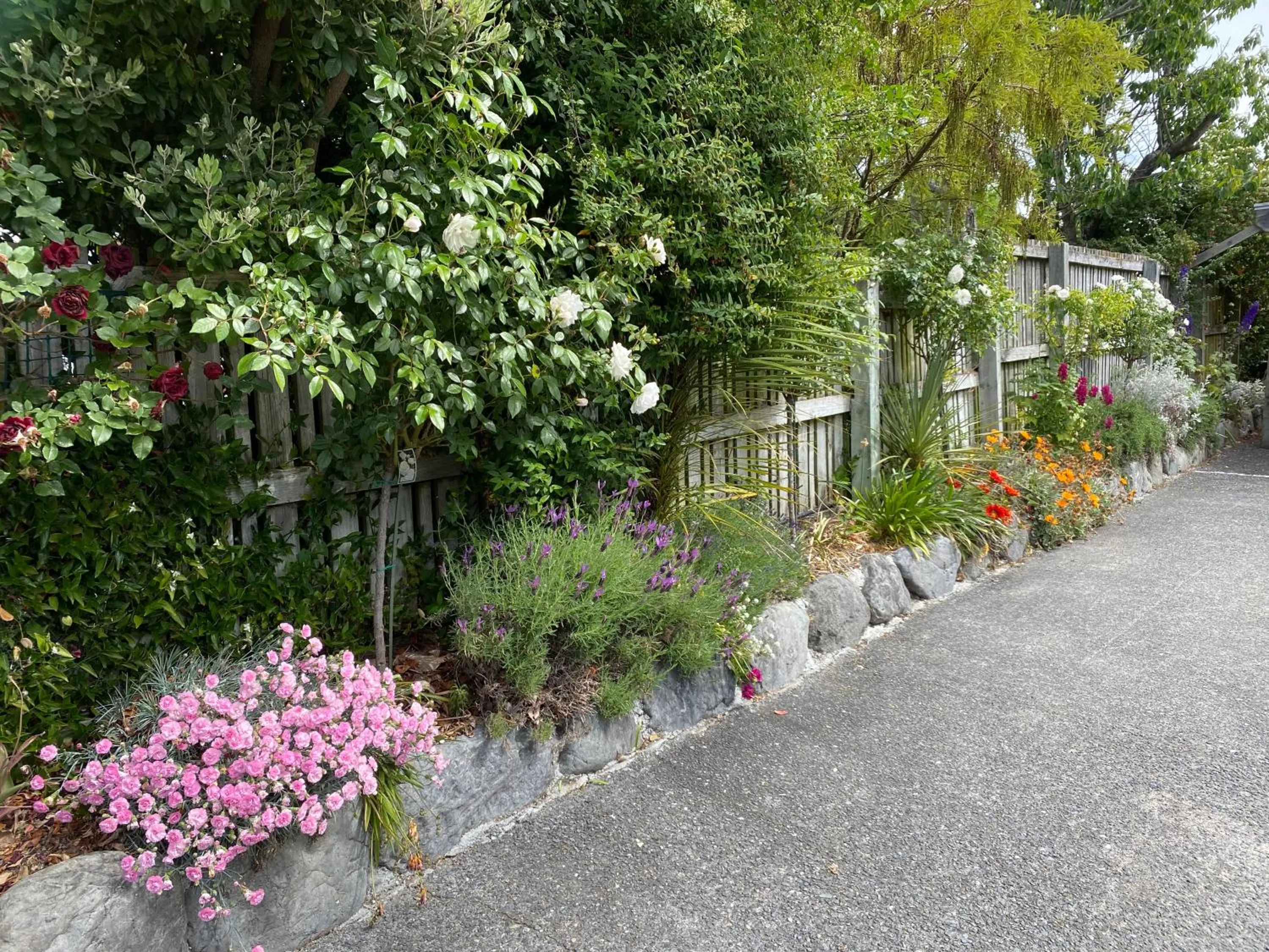 Garden view in Nikau Lodge