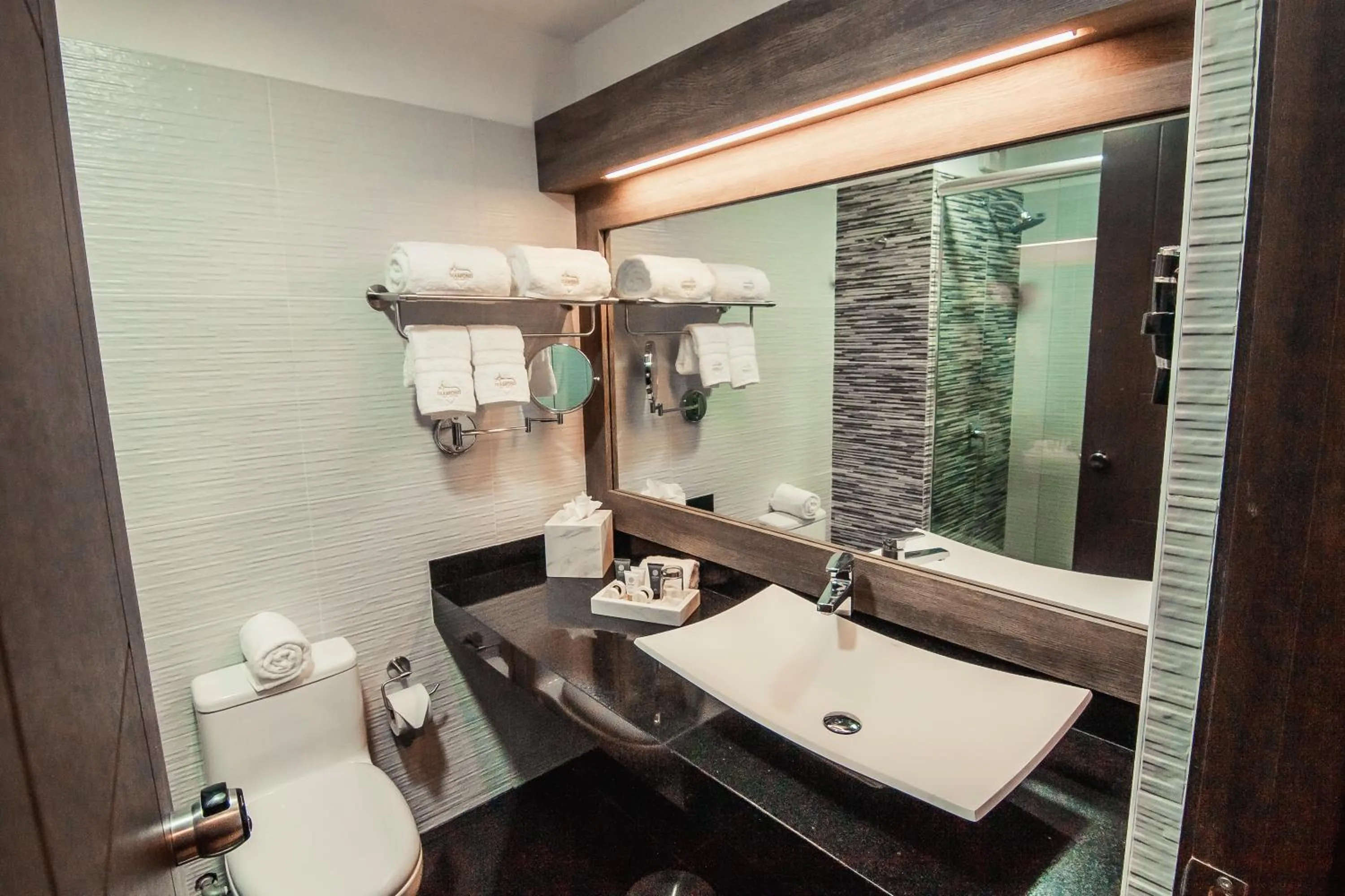 Toilet in Hotel Diamond Lima