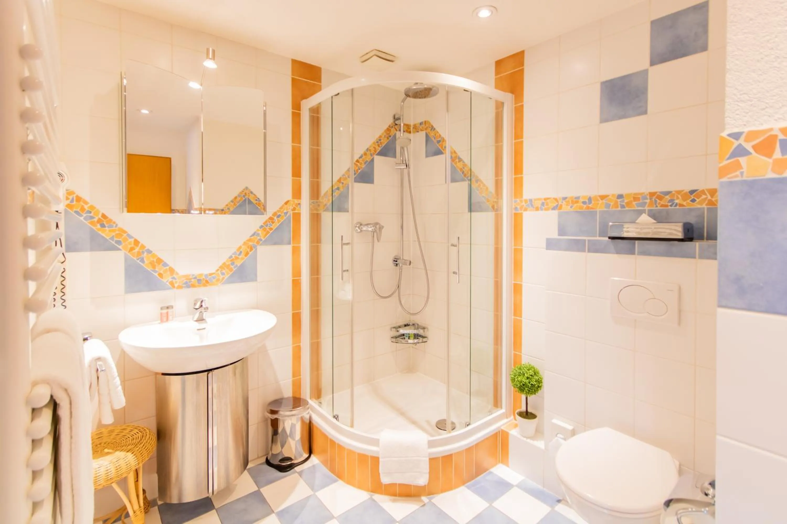 Shower in Hotel Weiler