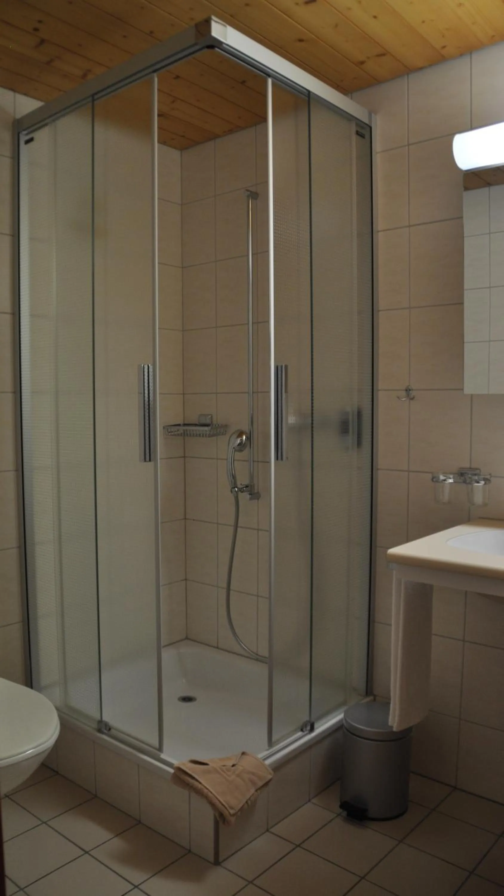 Bathroom in Ferien- und Familienhotel Alpina Adelboden