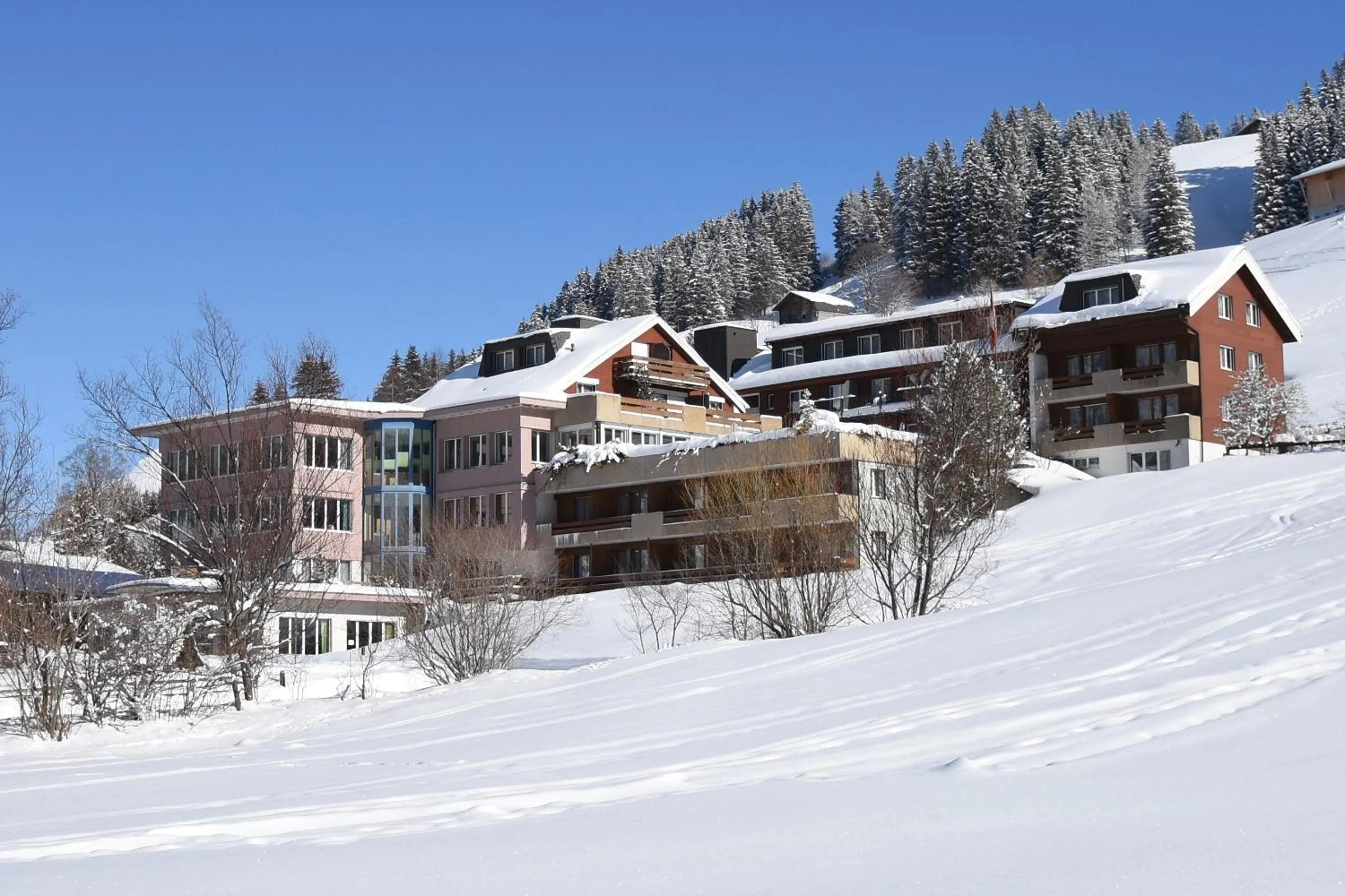 Property building in Ferien- und Familienhotel Alpina Adelboden