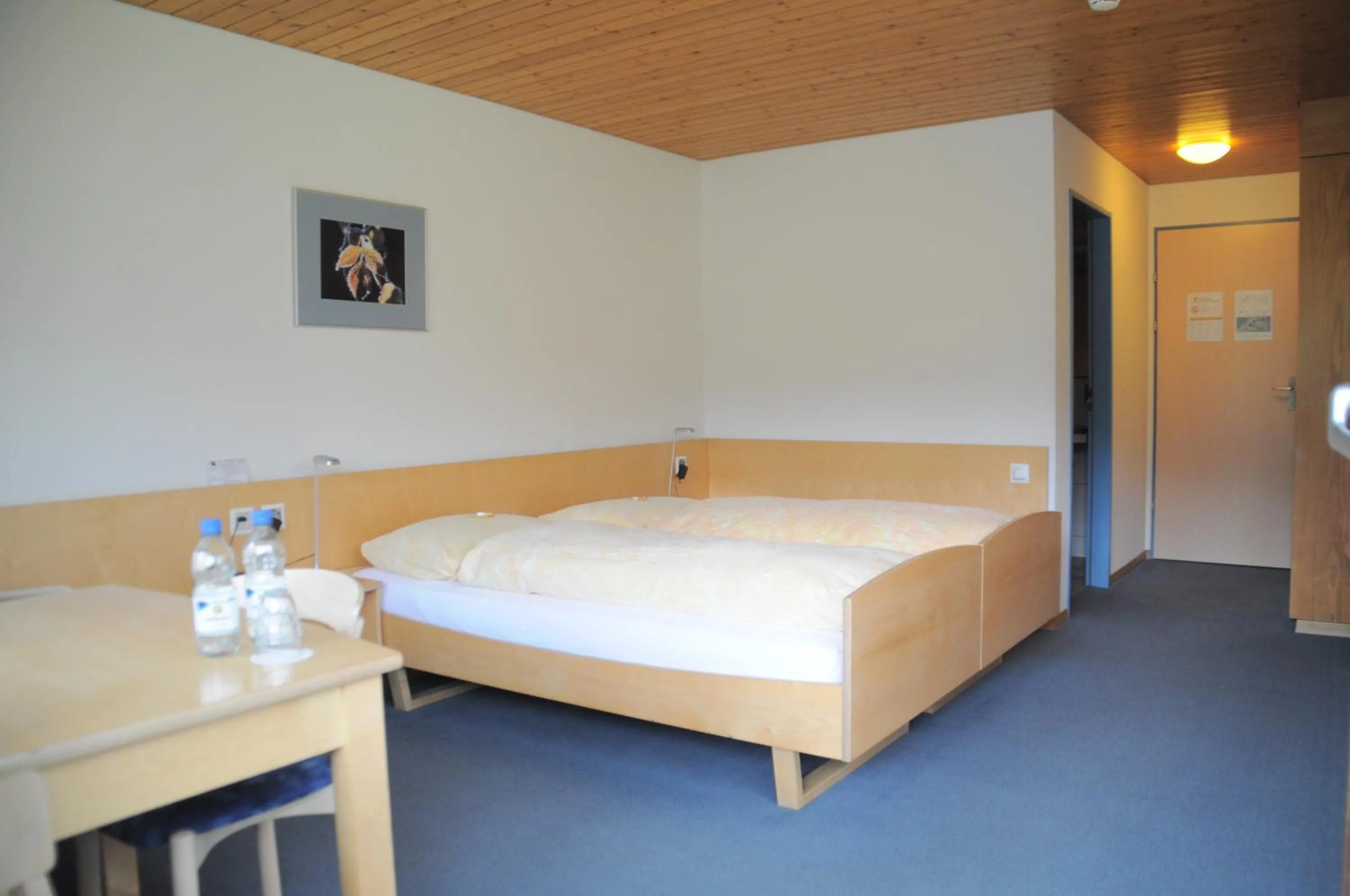 Photo of the whole room, Bed in Ferien- und Familienhotel Alpina Adelboden