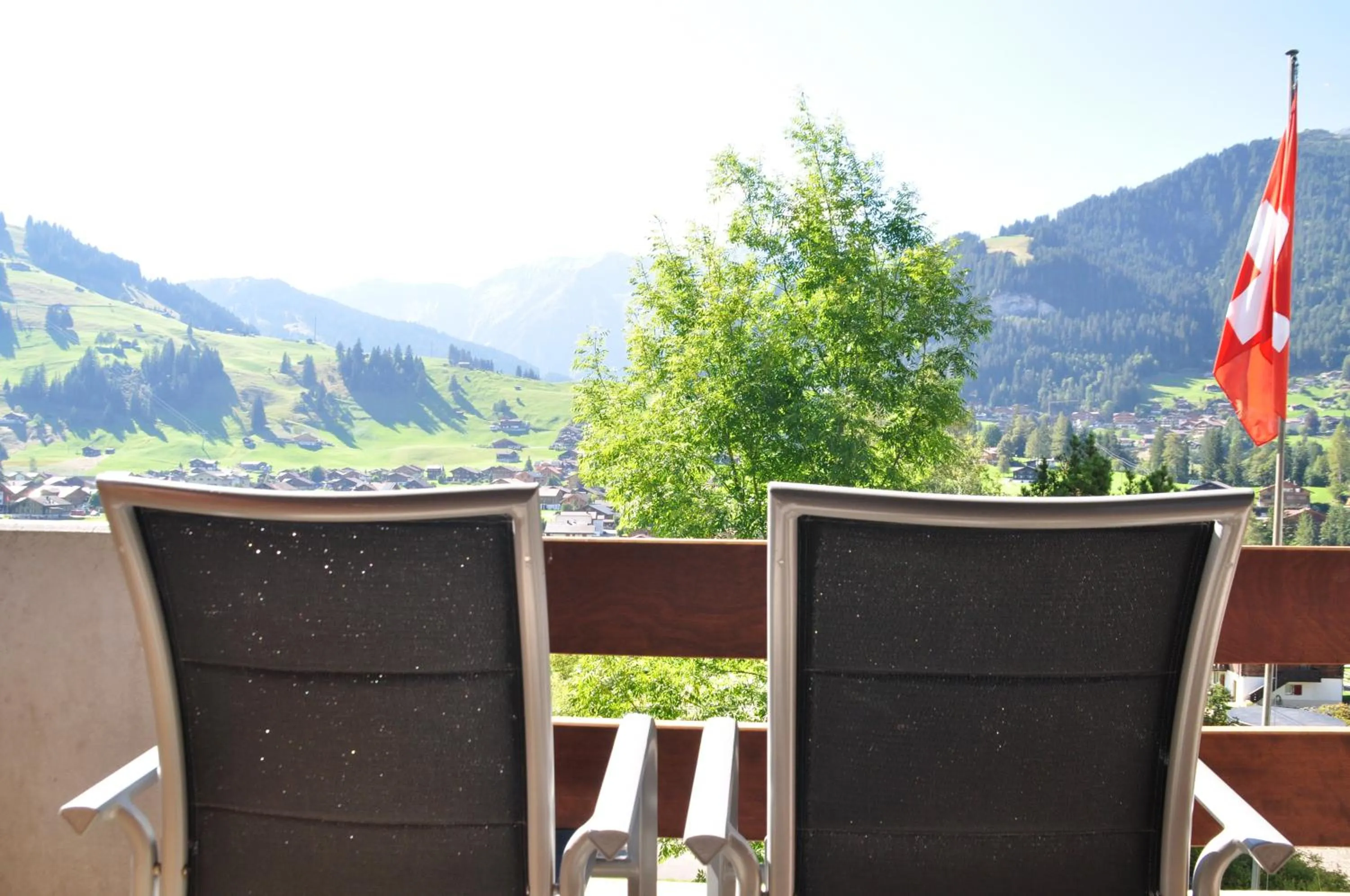 View (from property/room) in Ferien- und Familienhotel Alpina Adelboden