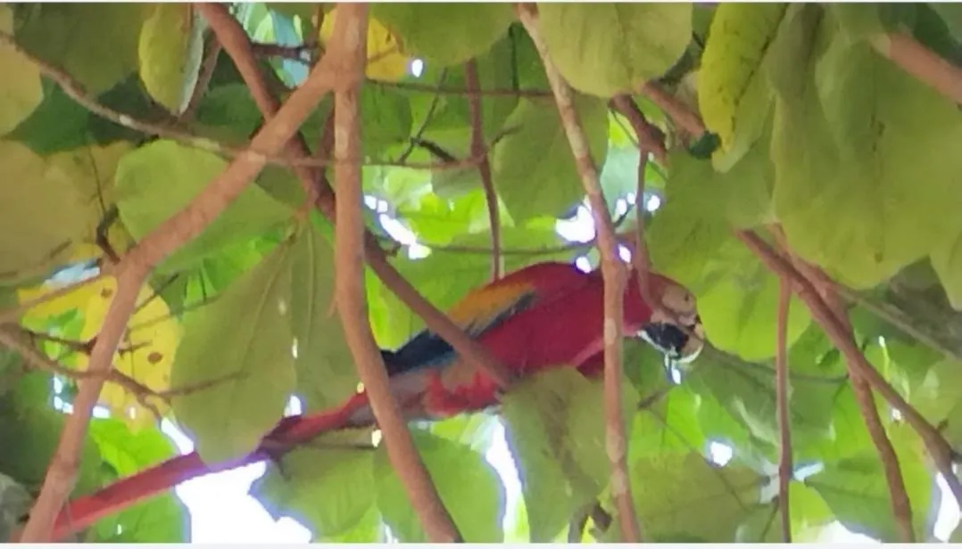 El Gecko Hotel & Tours