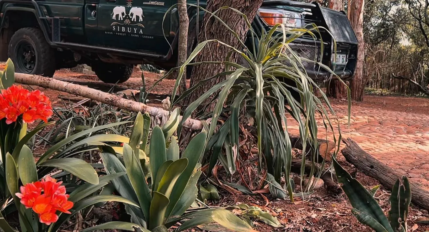 Sibuya Game Reserve and Lodge