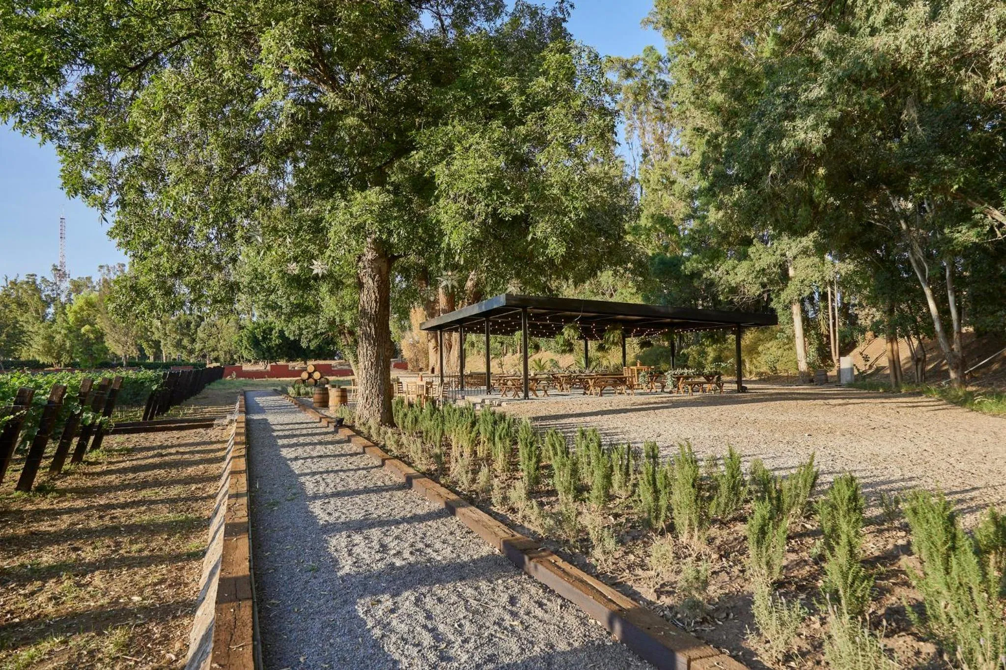 View (from property/room) in Fiesta Americana Hacienda Galindo Resort & Spa