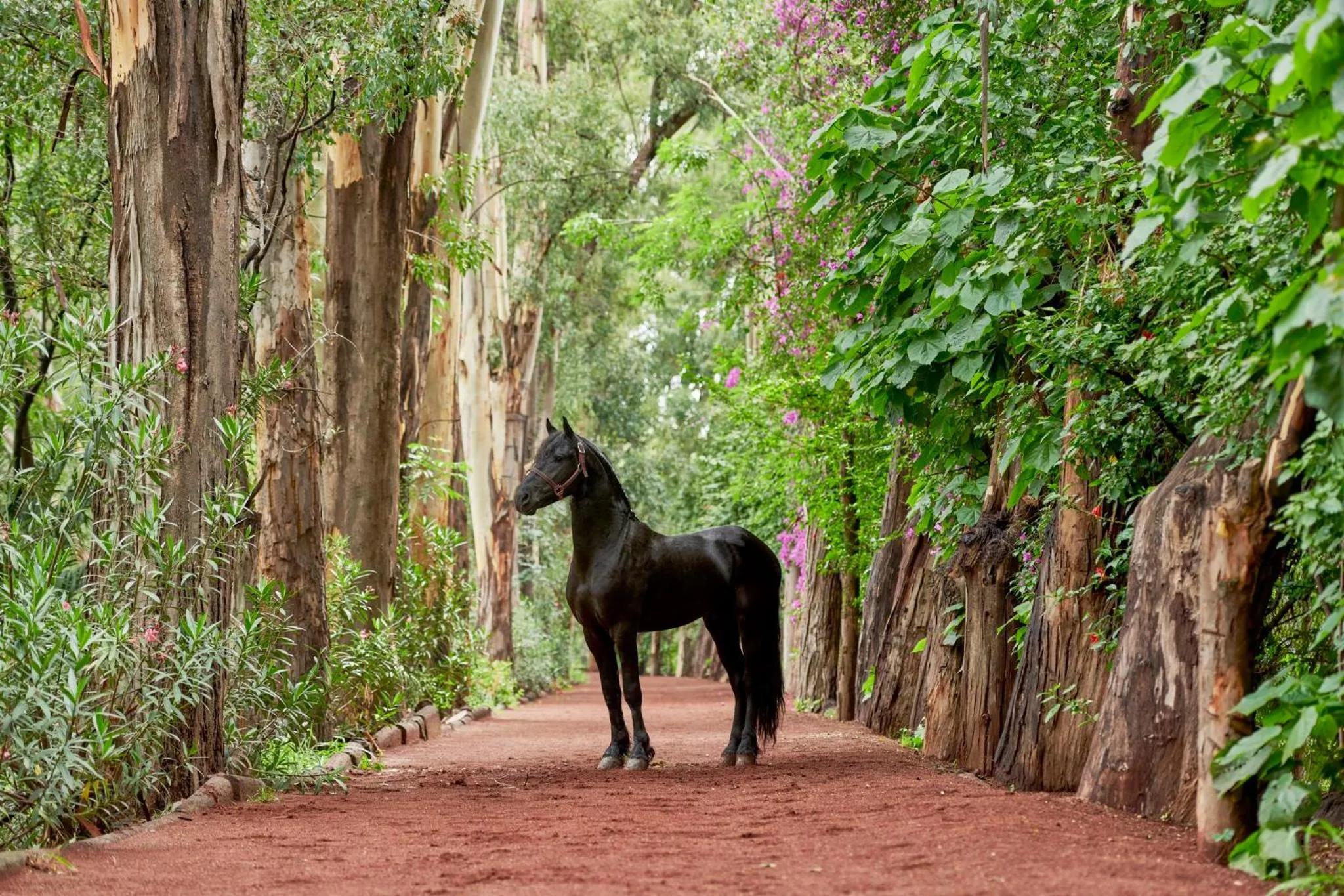 Property building in Fiesta Americana Hacienda Galindo Resort & Spa