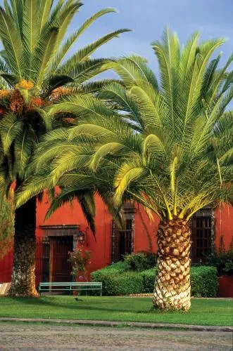 Fiesta Americana Hacienda Galindo Resort & Spa