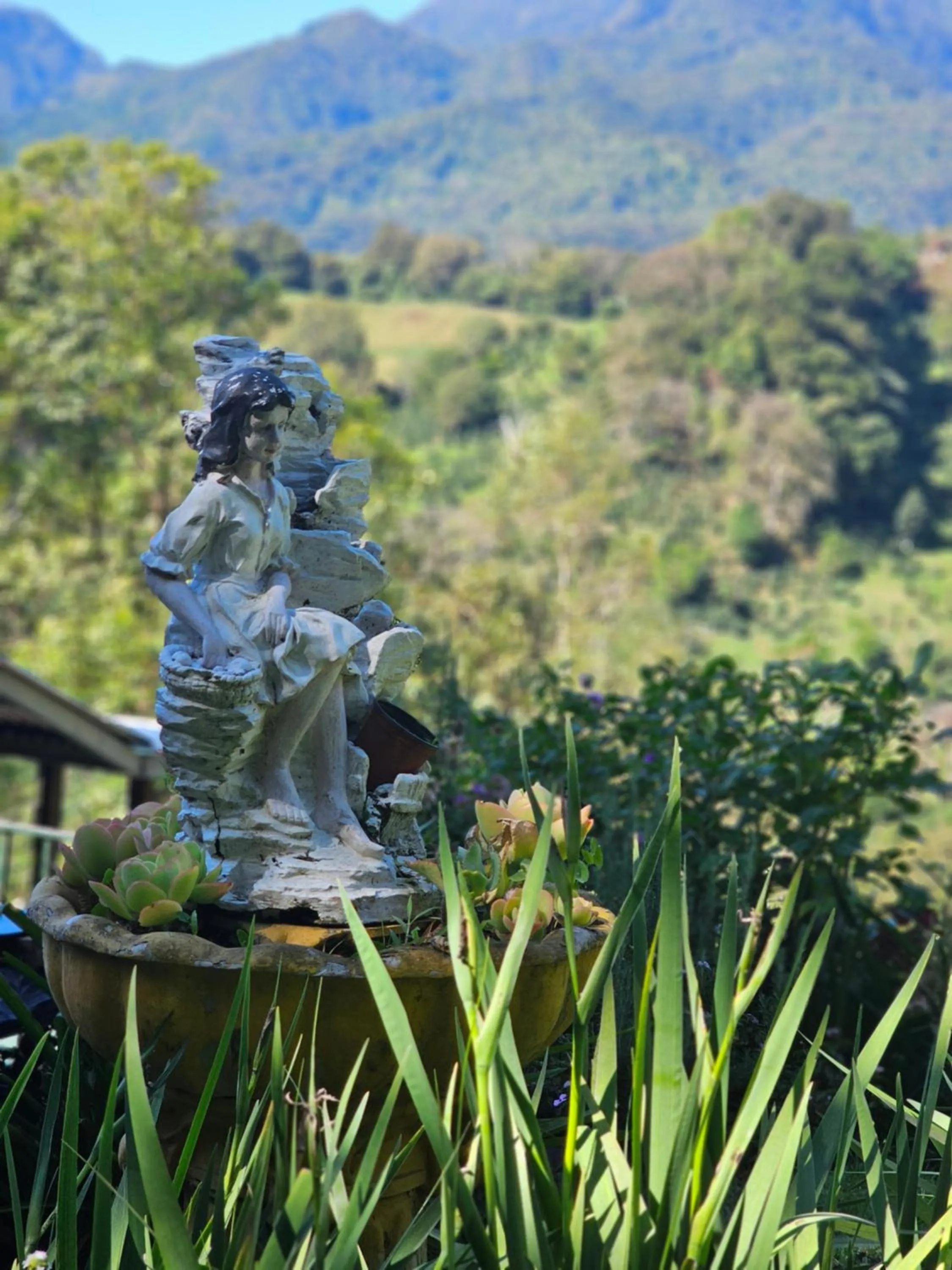 Garden in Eco Horqueta