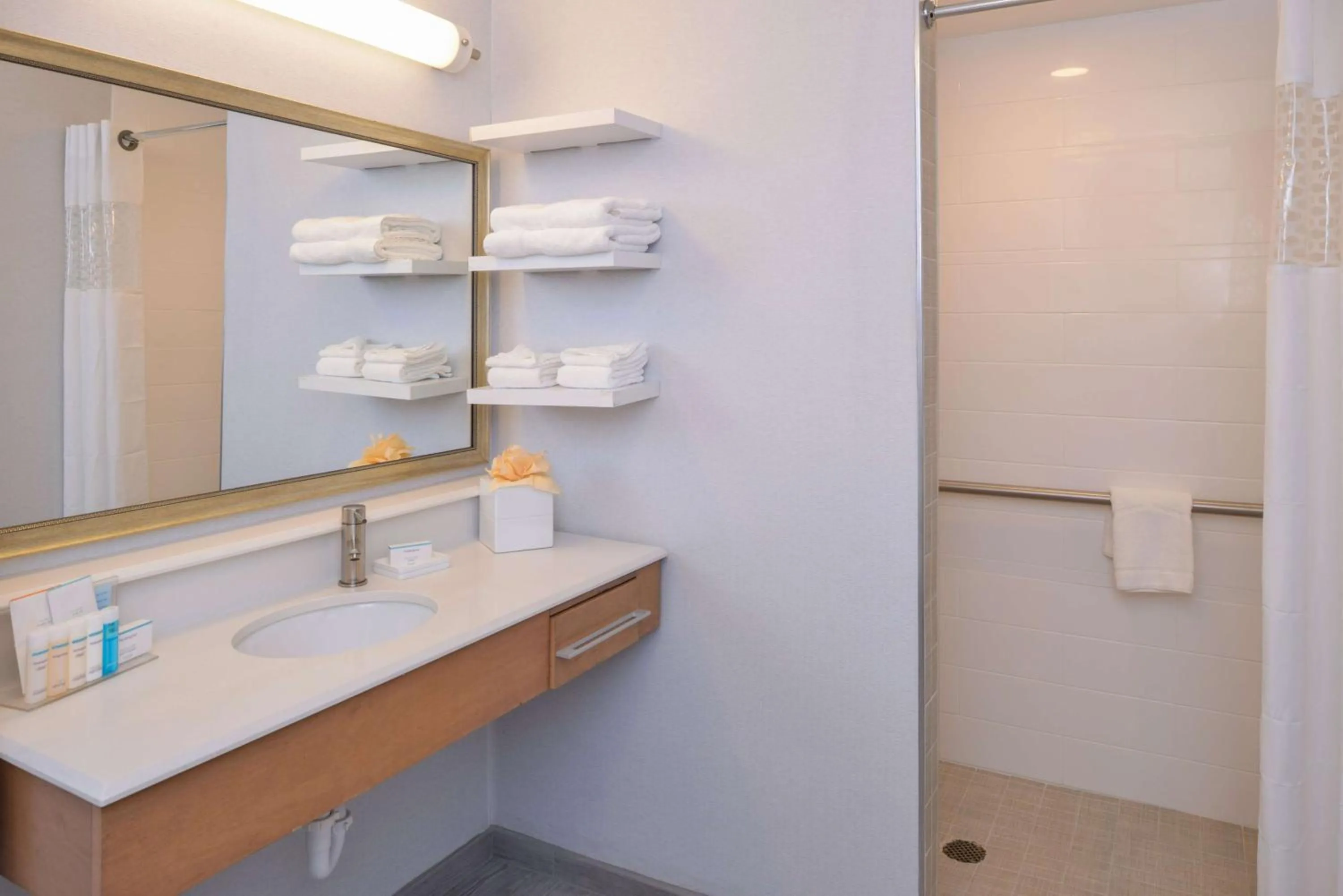 Bathroom in Hampton Inn & Suites Denver-Speer Boulevard