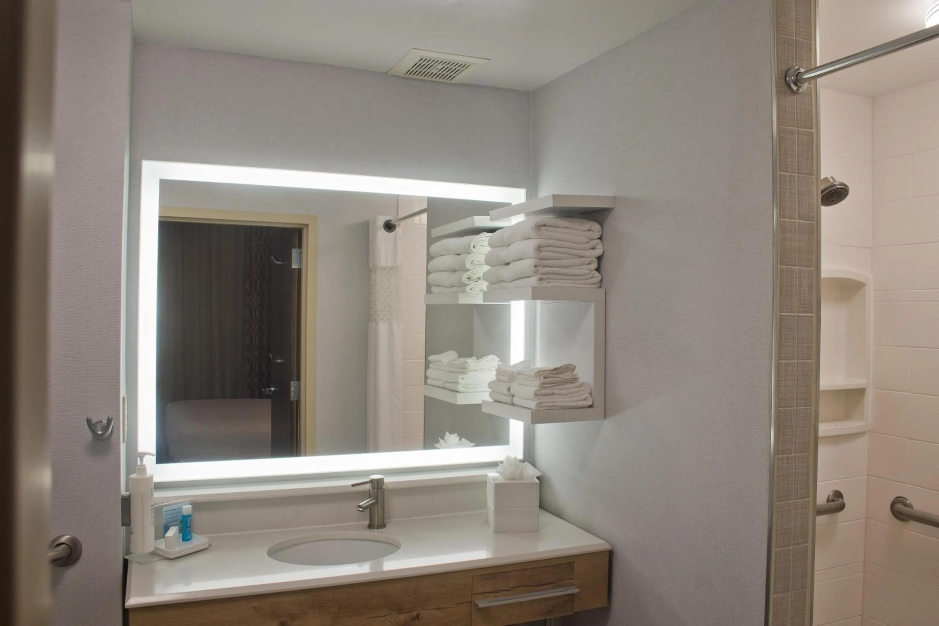 Bathroom in Hampton Inn & Suites Denver-Speer Boulevard