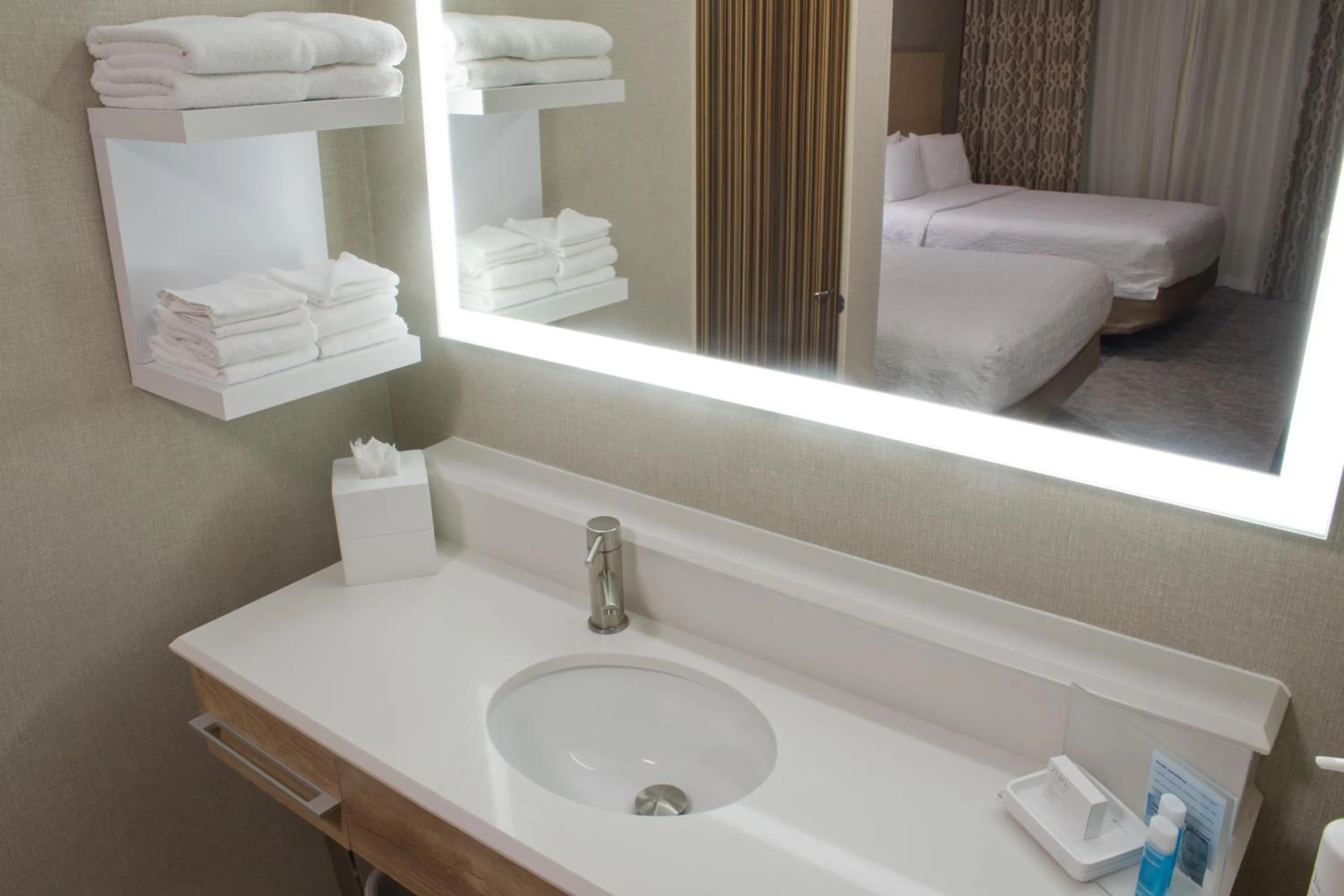 Bathroom in Hampton Inn & Suites Denver-Speer Boulevard