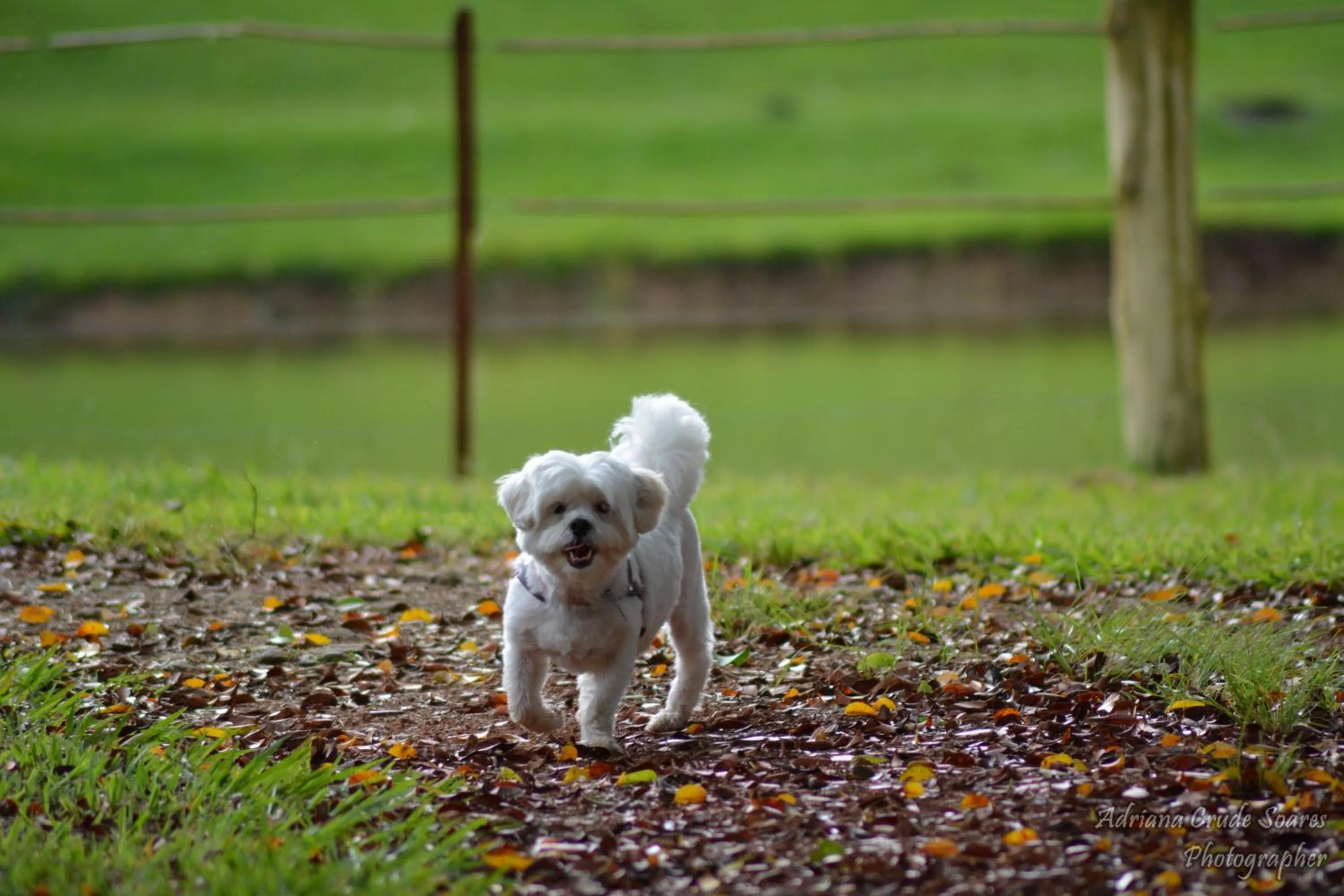 Day in Hotel Fazenda Sete Lagos