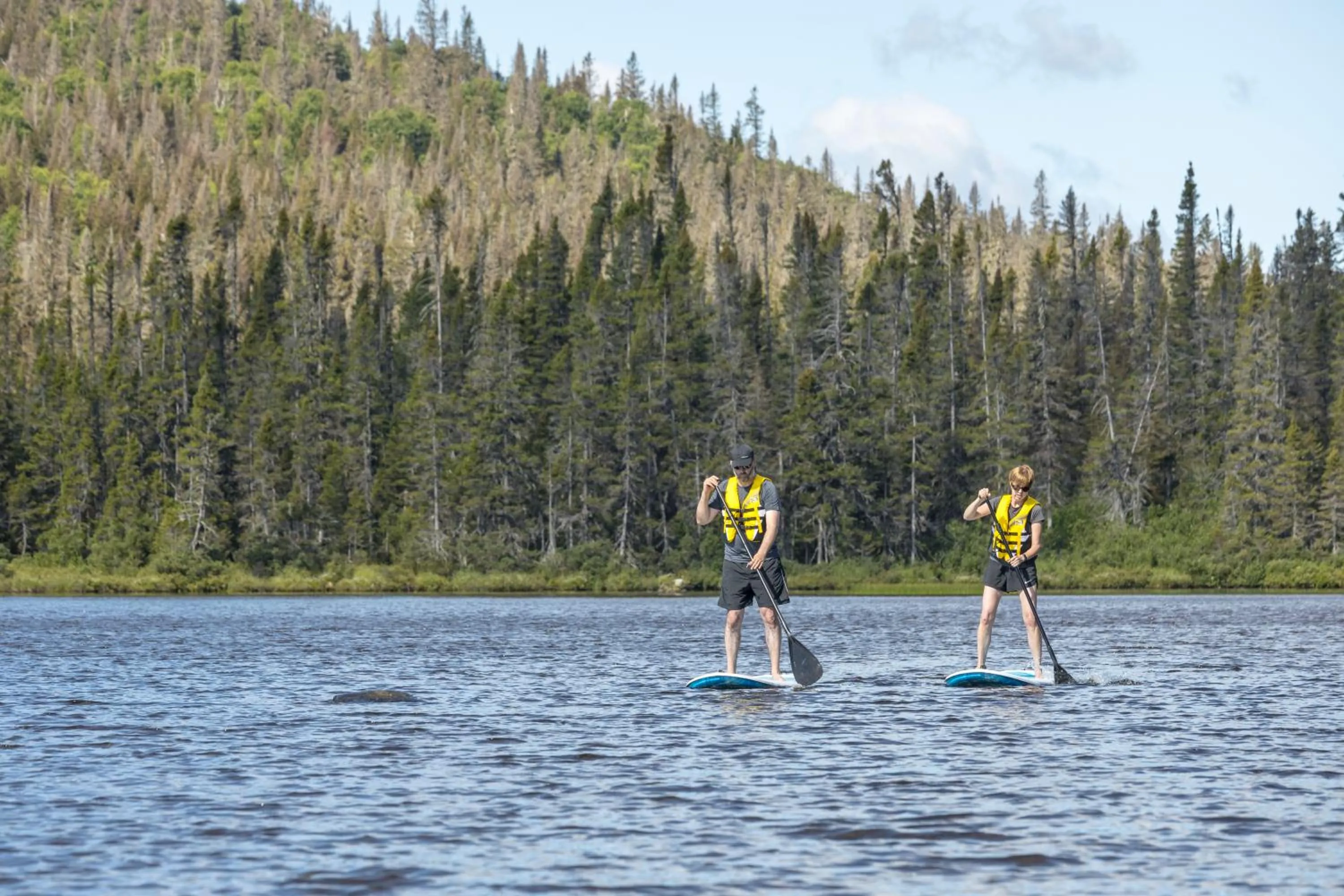 Activities in Auberge de Montagne des Chic-Chocs Mountain Lodge - Sepaq