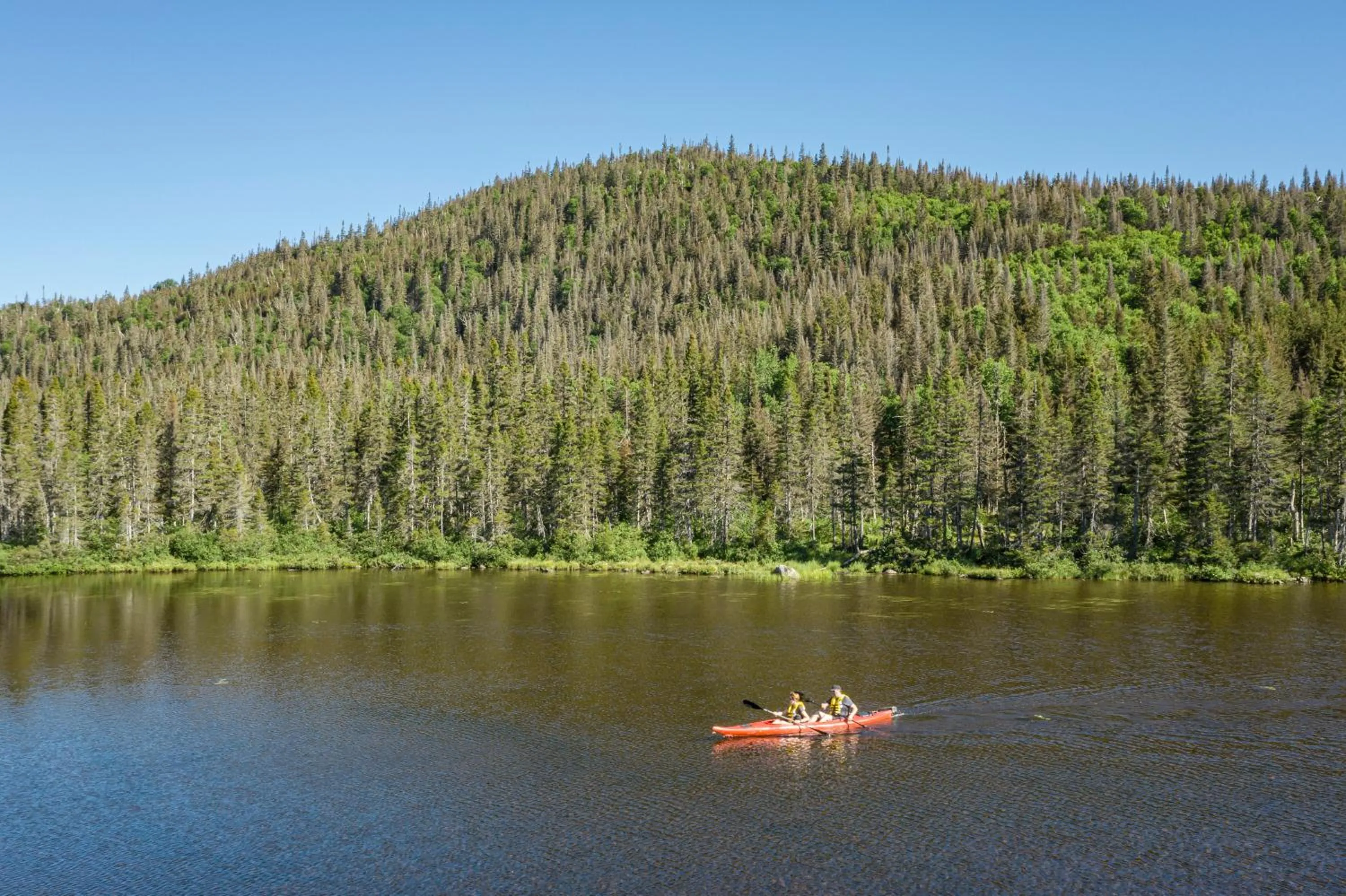 Activities in Auberge de Montagne des Chic-Chocs Mountain Lodge - Sepaq