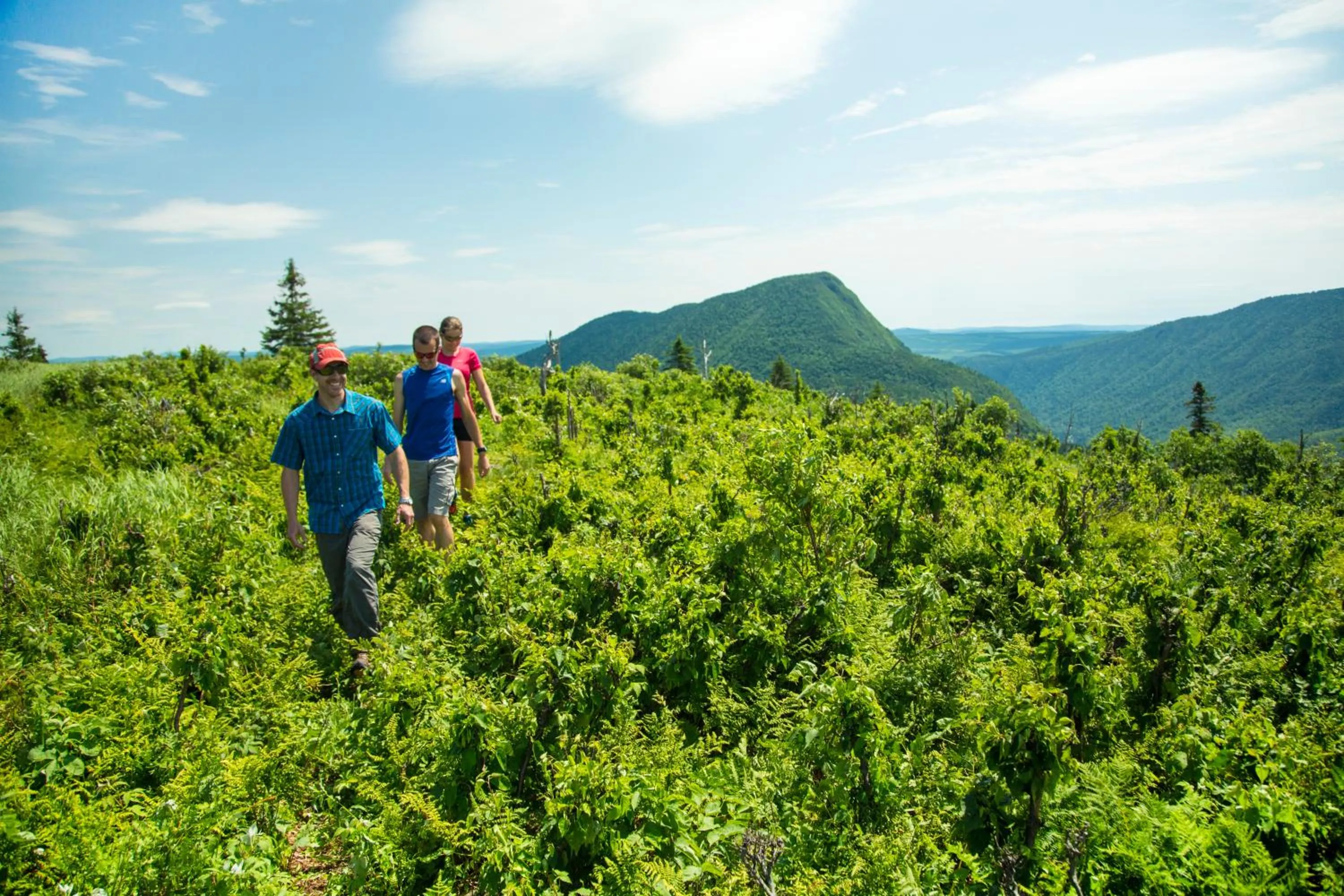 Hiking in Auberge de Montagne des Chic-Chocs Mountain Lodge - Sepaq