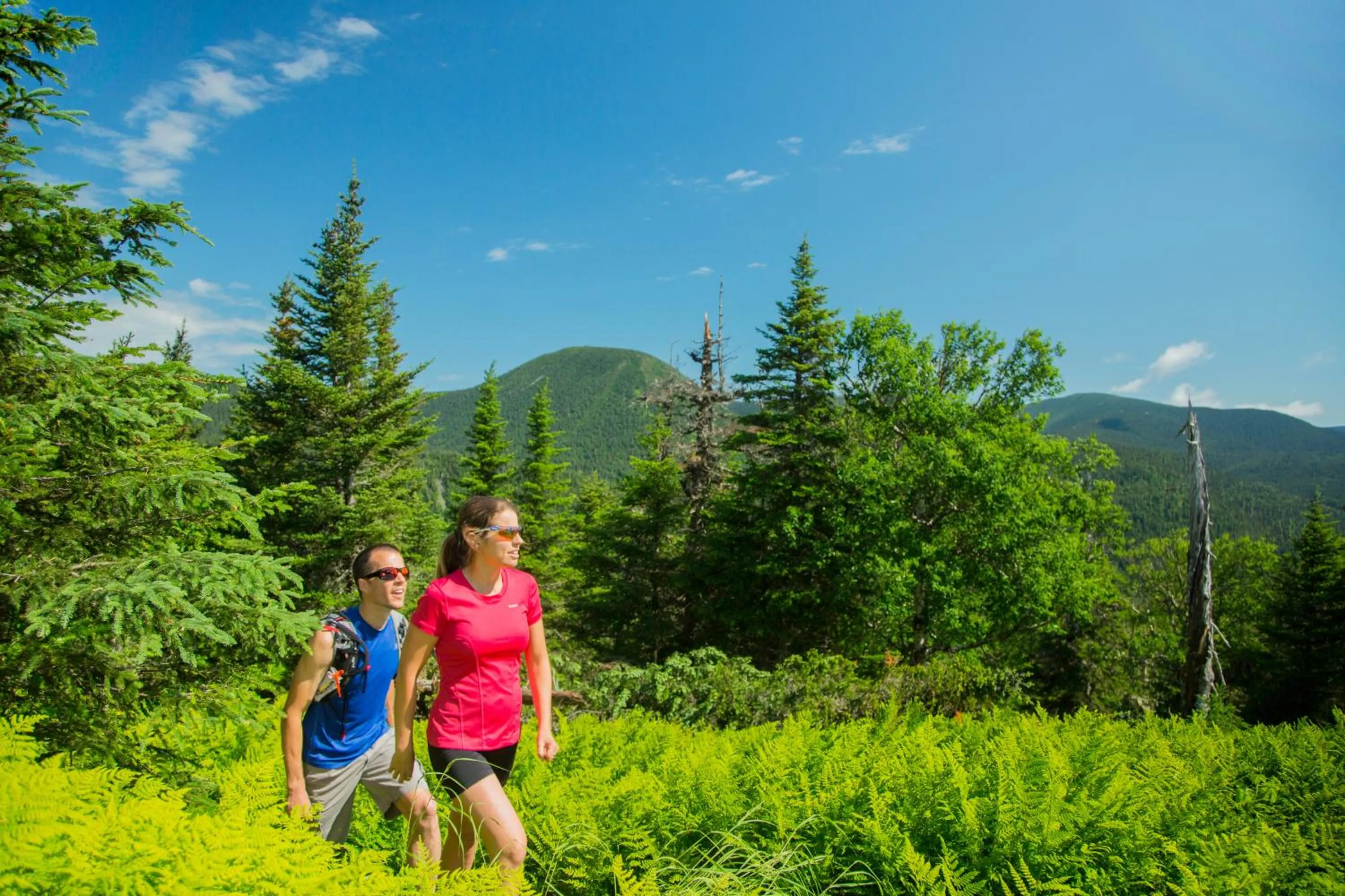 Natural landscape in Auberge de Montagne des Chic-Chocs Mountain Lodge - Sepaq