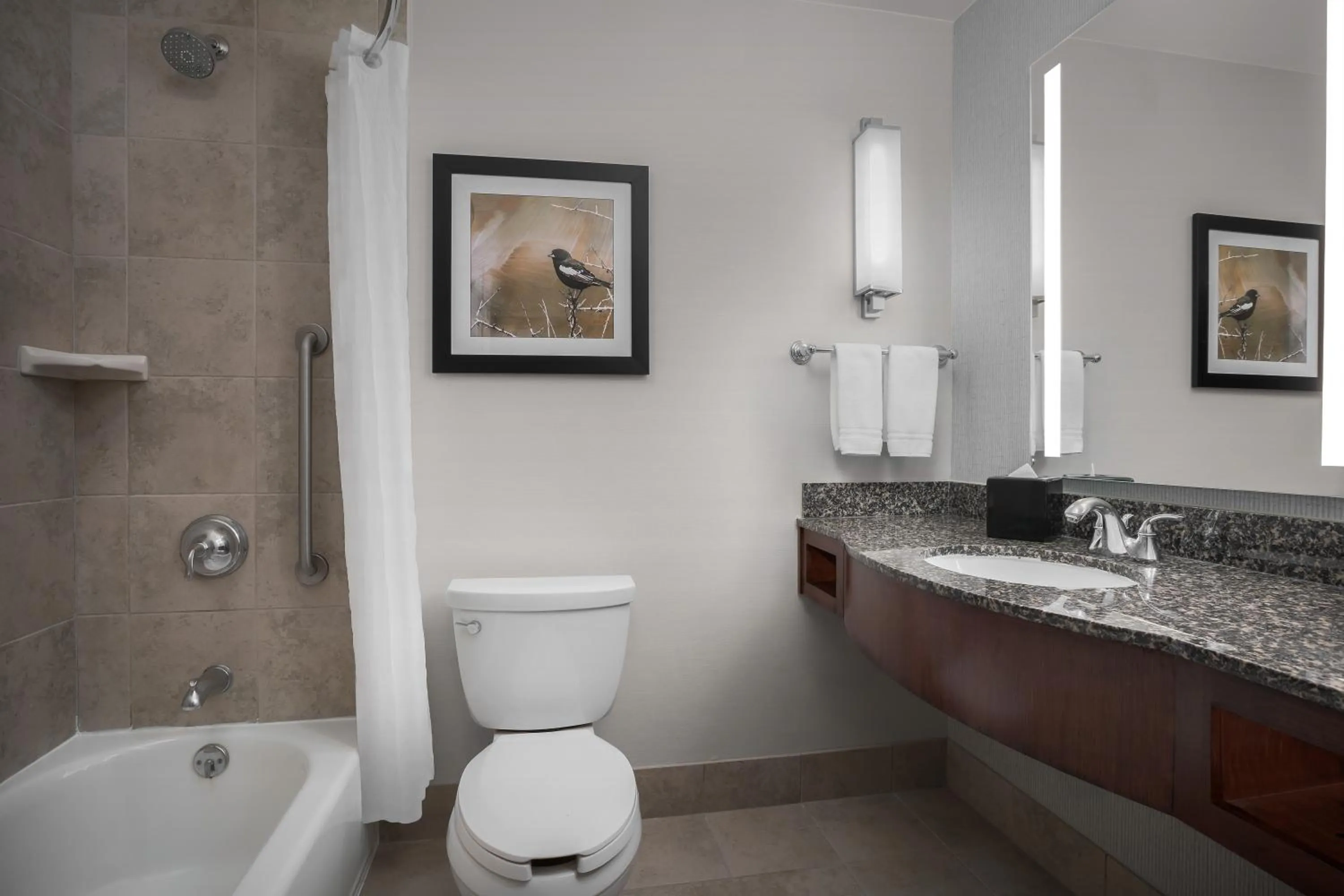 Toilet in Hilton Garden Inn Denver Downtown