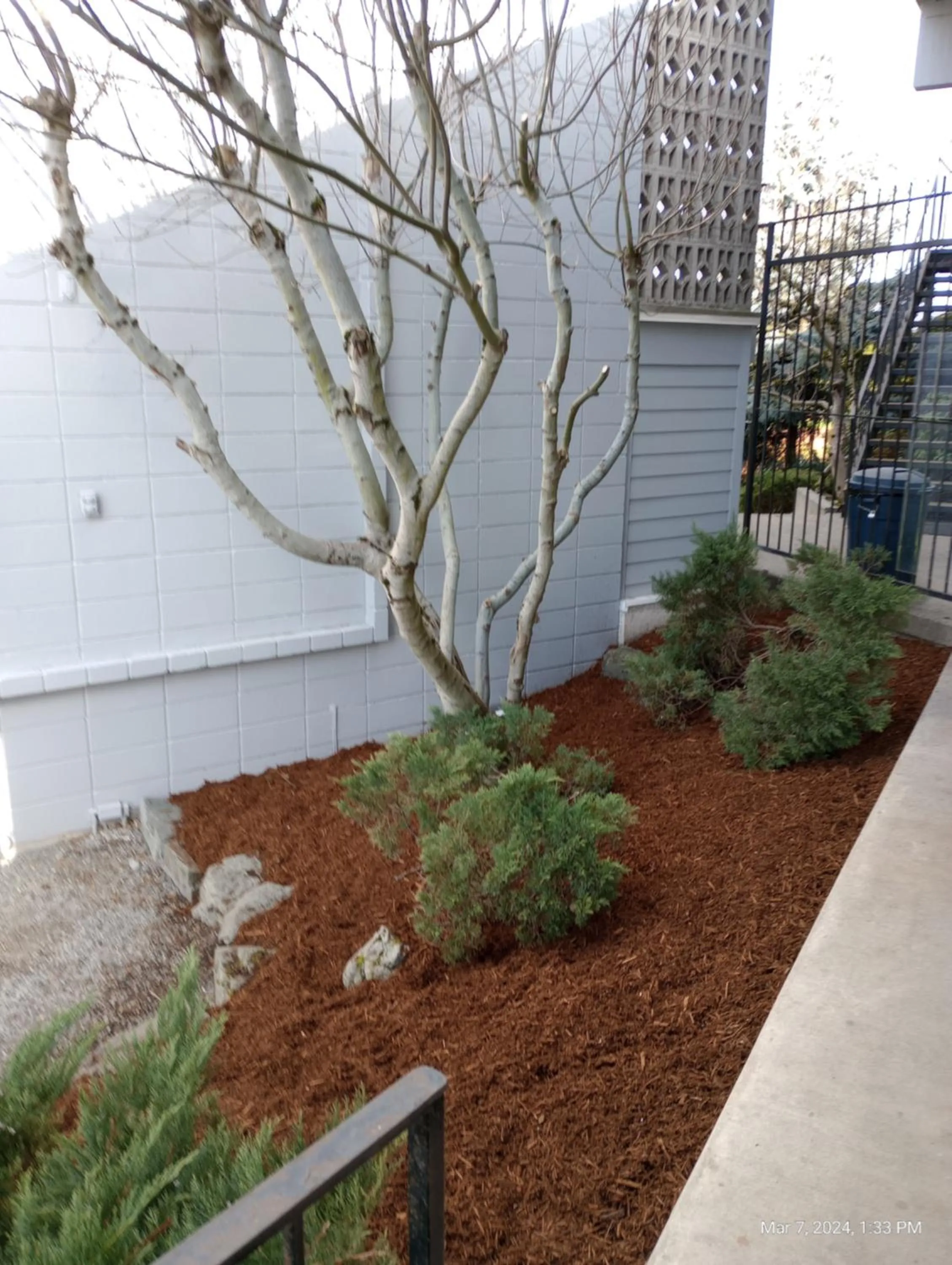 Garden in Cocusa Motel